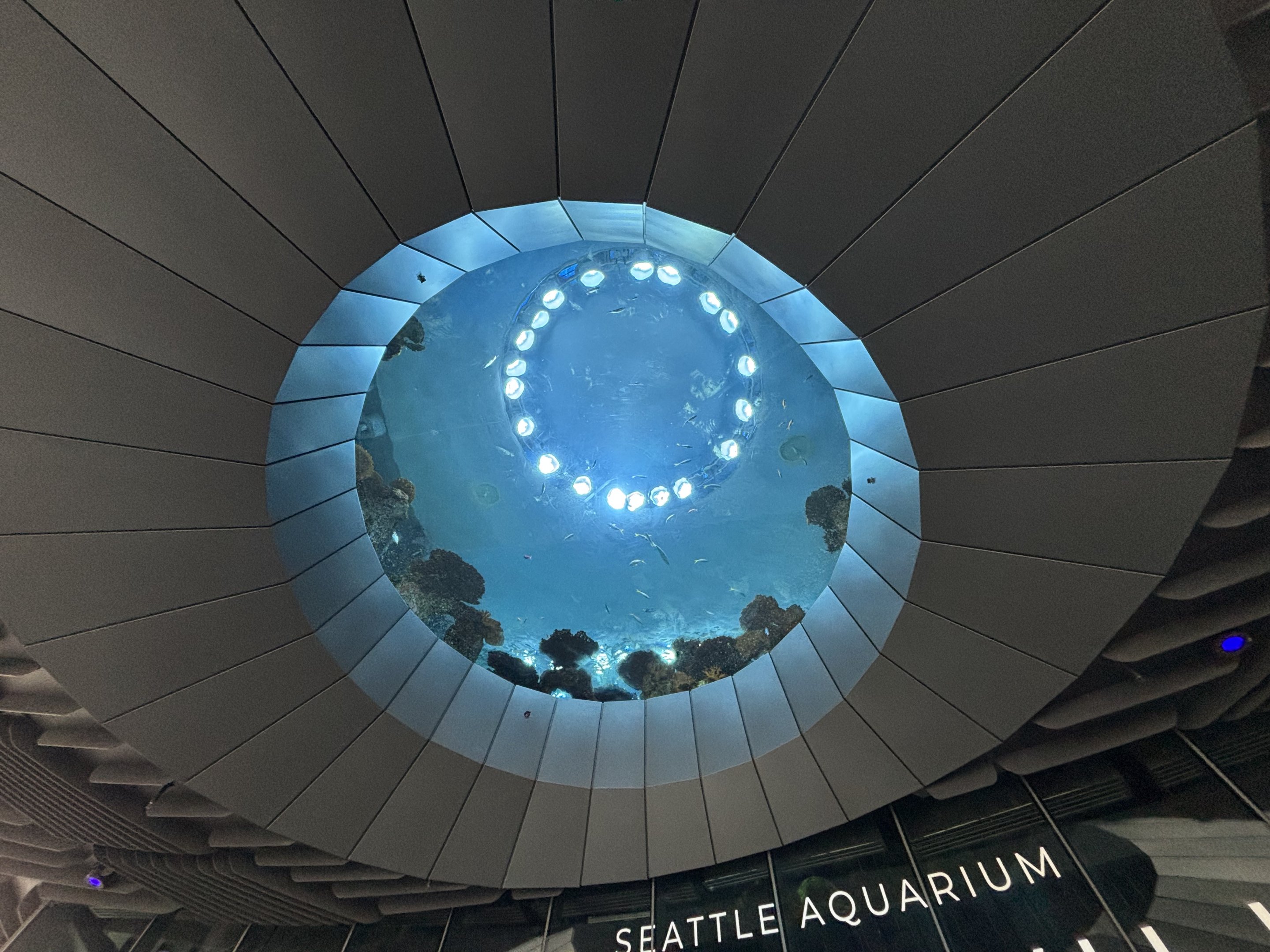 Ocean Pavilion - The Reef Oculus Window