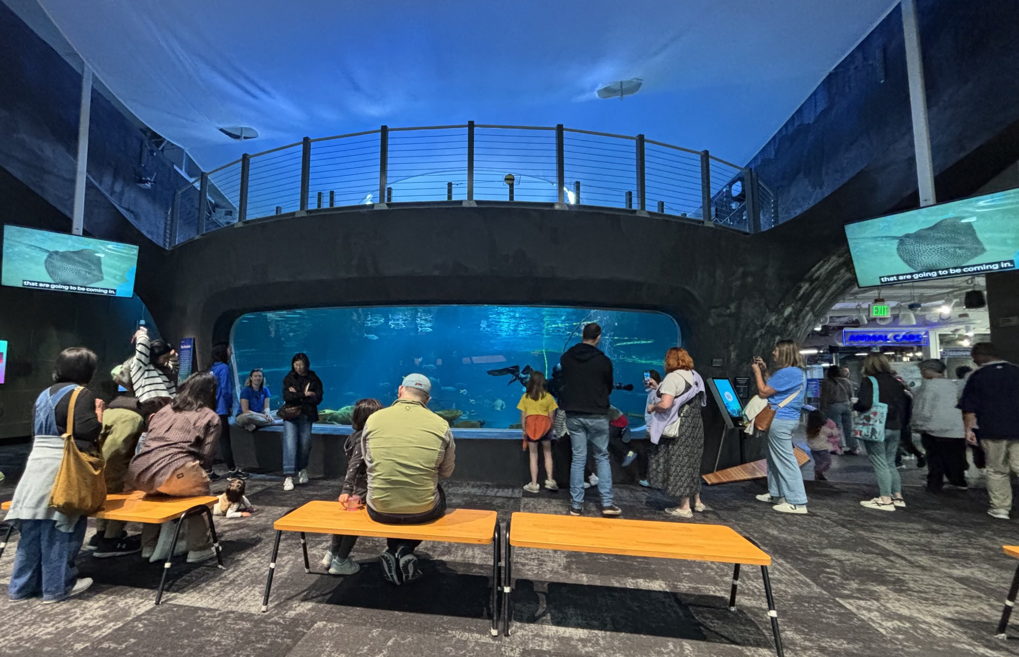 Ocean Pavilion - The Reef (upper view)