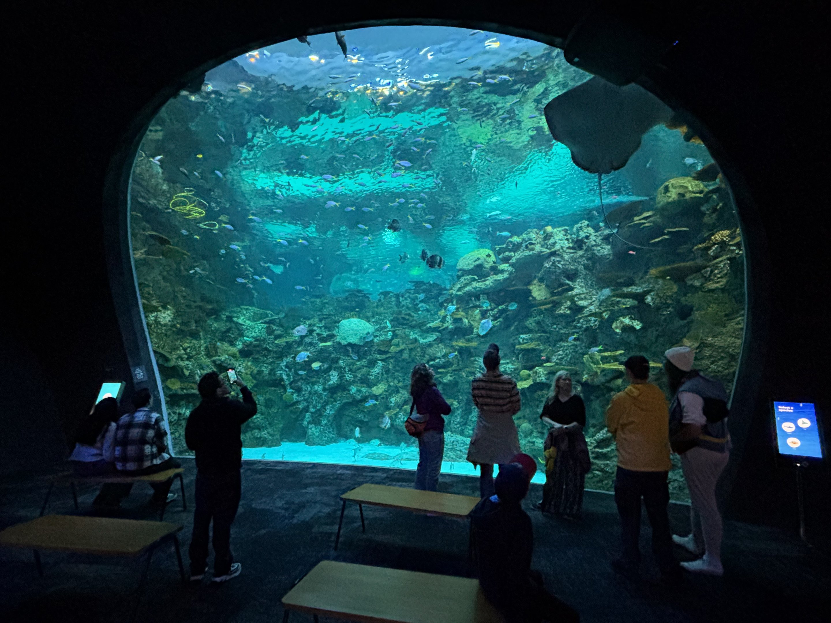 Ocean Pavilion - The Reef