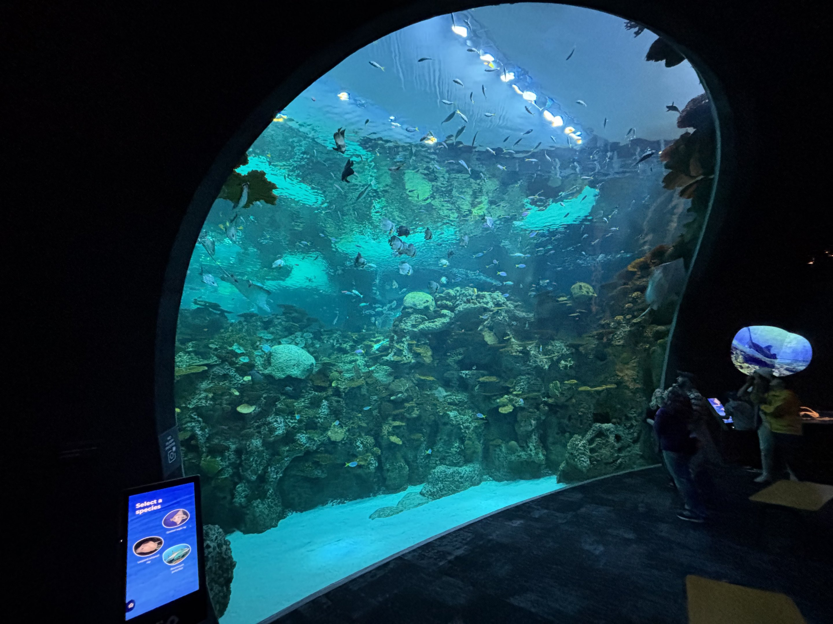 Ocean Pavilion - The Reef