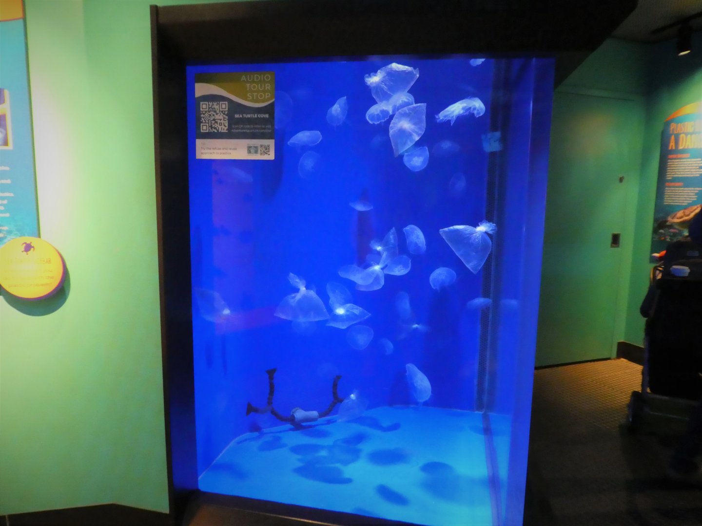Ocean Realm - Sea Turtle Cove - Common Jellyfish and Plastic Bag Display