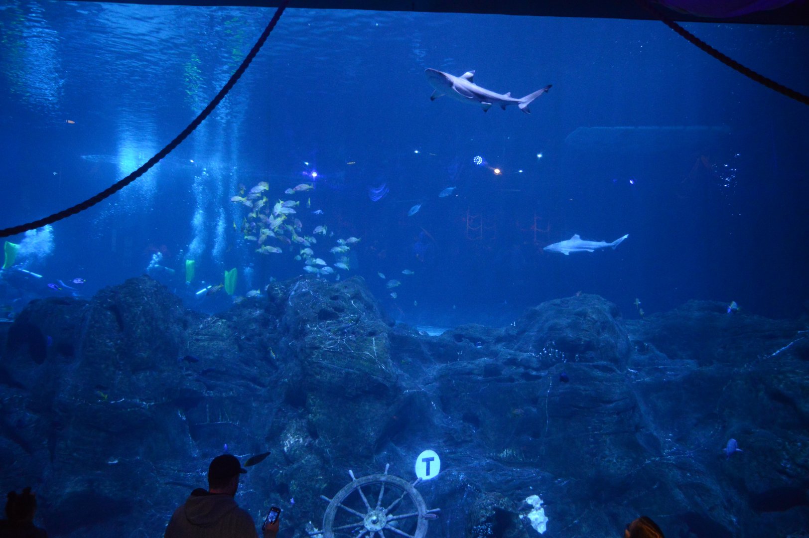 Ocean Realm - View from the Theater