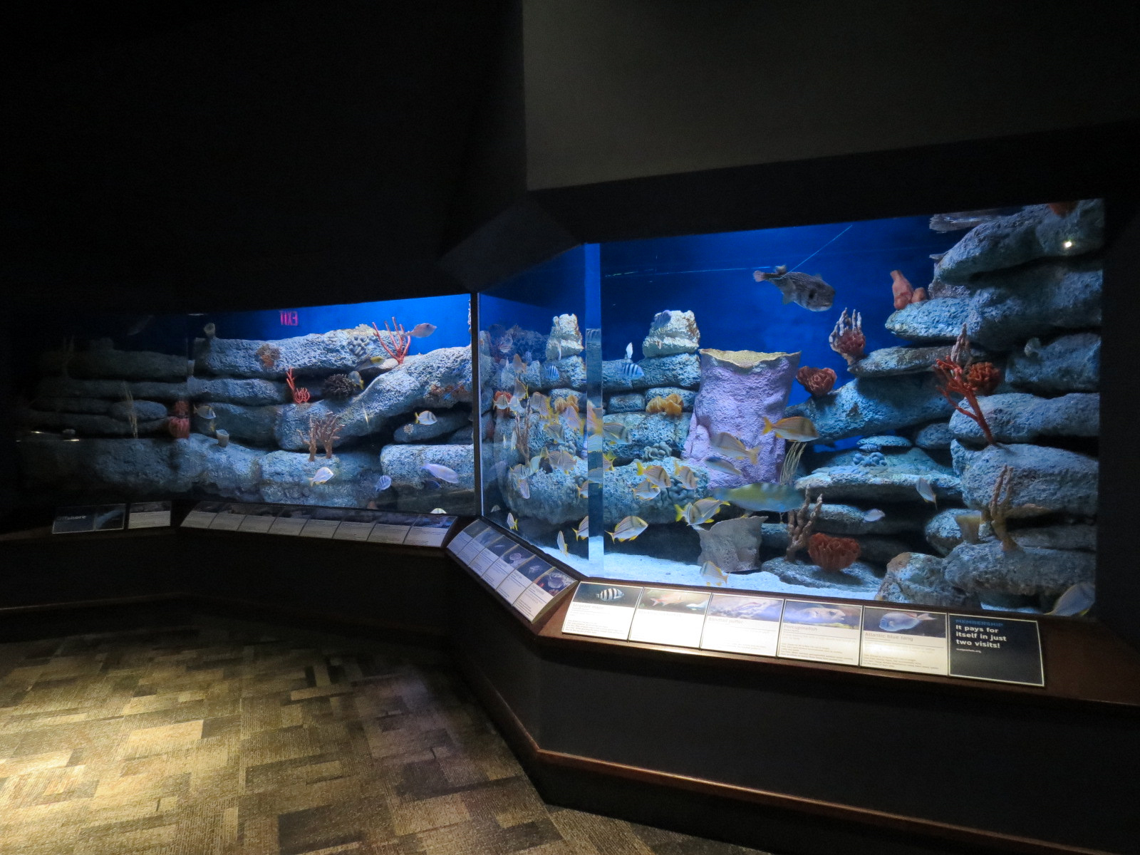 Ocean - Rocky Reef Exhibit