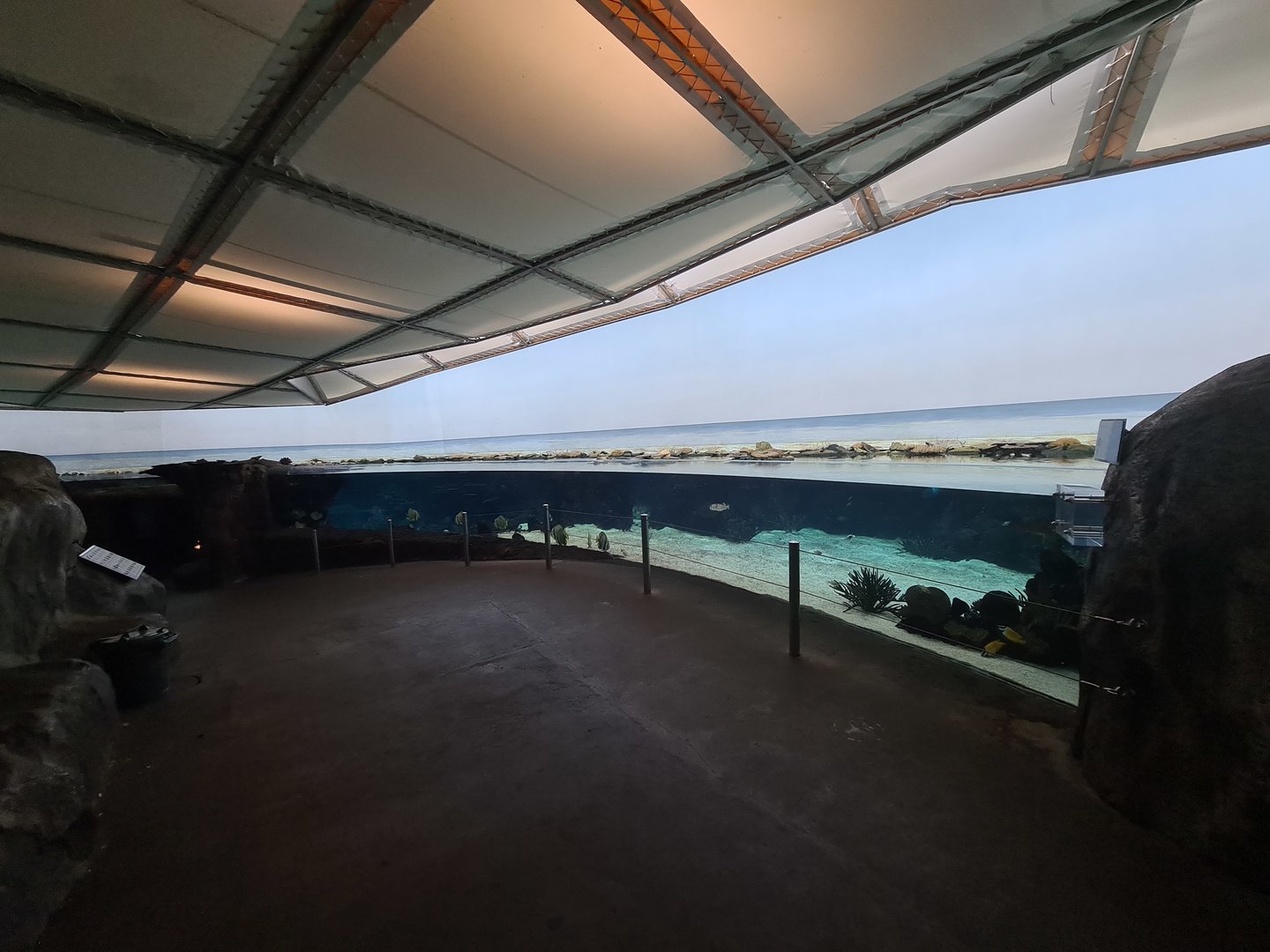 Ocean - Shallow lagune tank