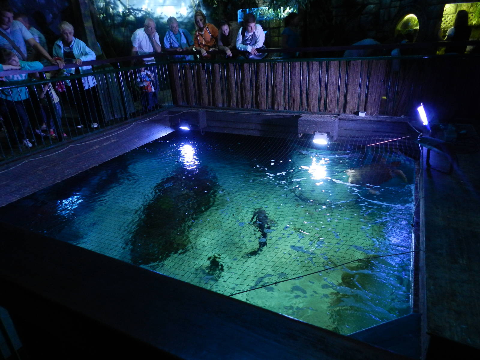 Ocean Tank at SEA LIFE Scarborough - 26/08/2012