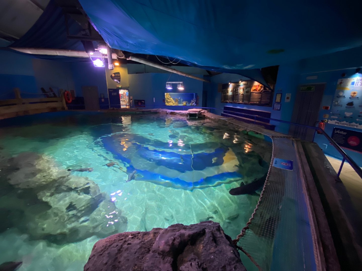 Ocean tank from above 240122