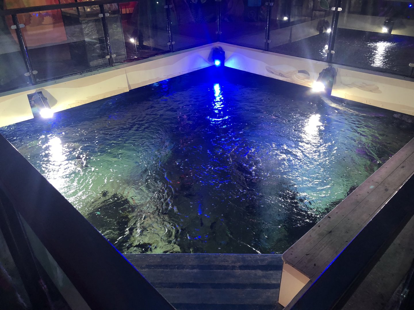 Ocean Tank from Above at SEA LIFE Scarborough (September 2022)