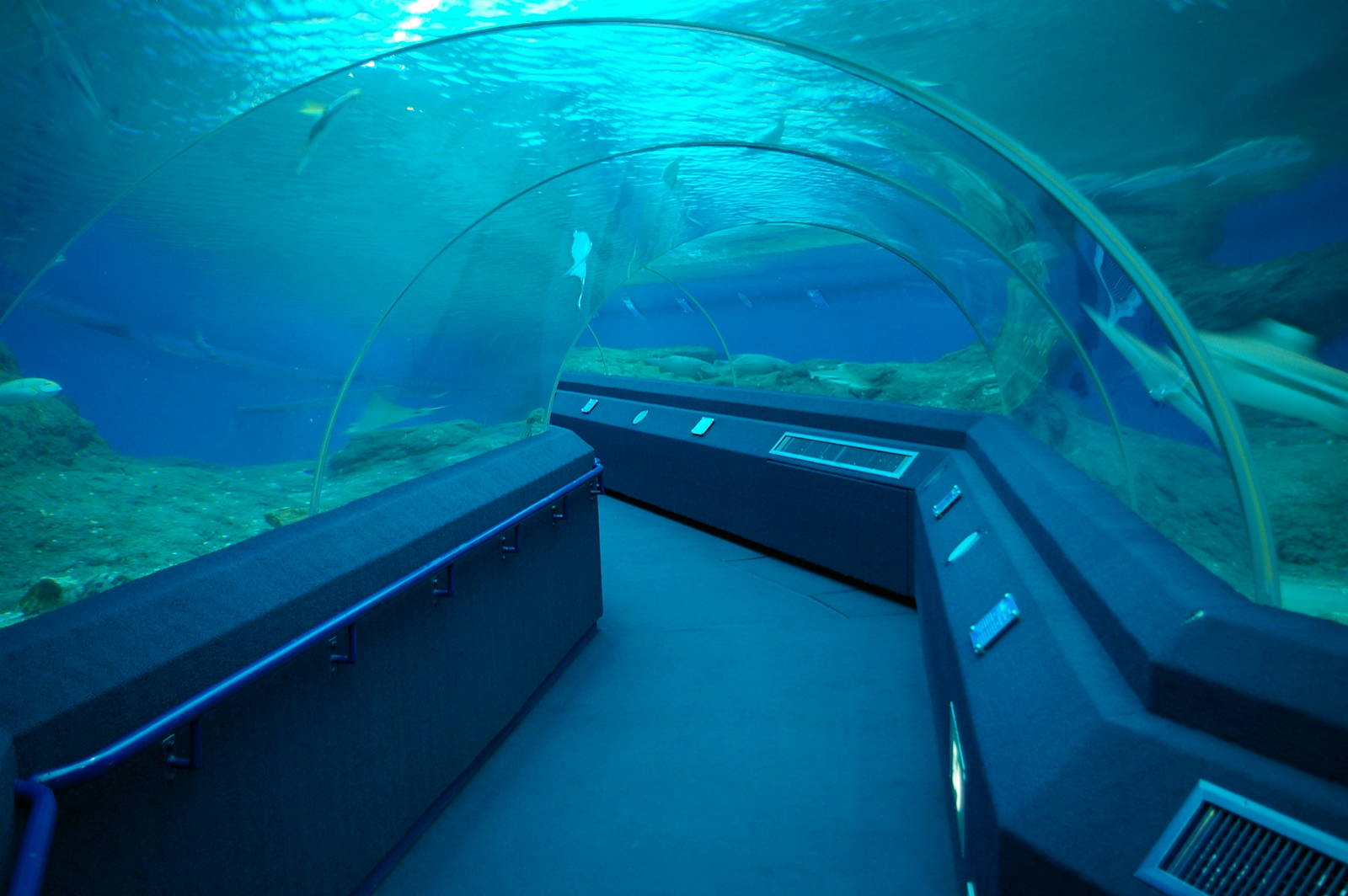 ocean tank, Pattaya Underwater World (Thailand)