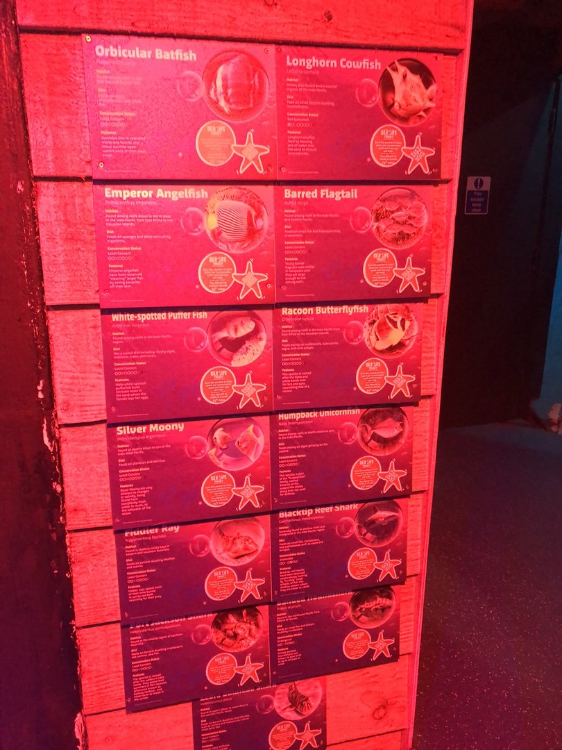 Ocean Tank Signage at SEA LIFE Scarborough (September 2022)