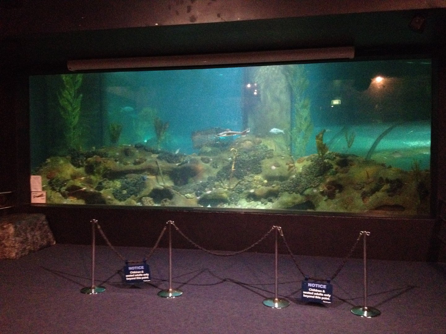 Ocean tank