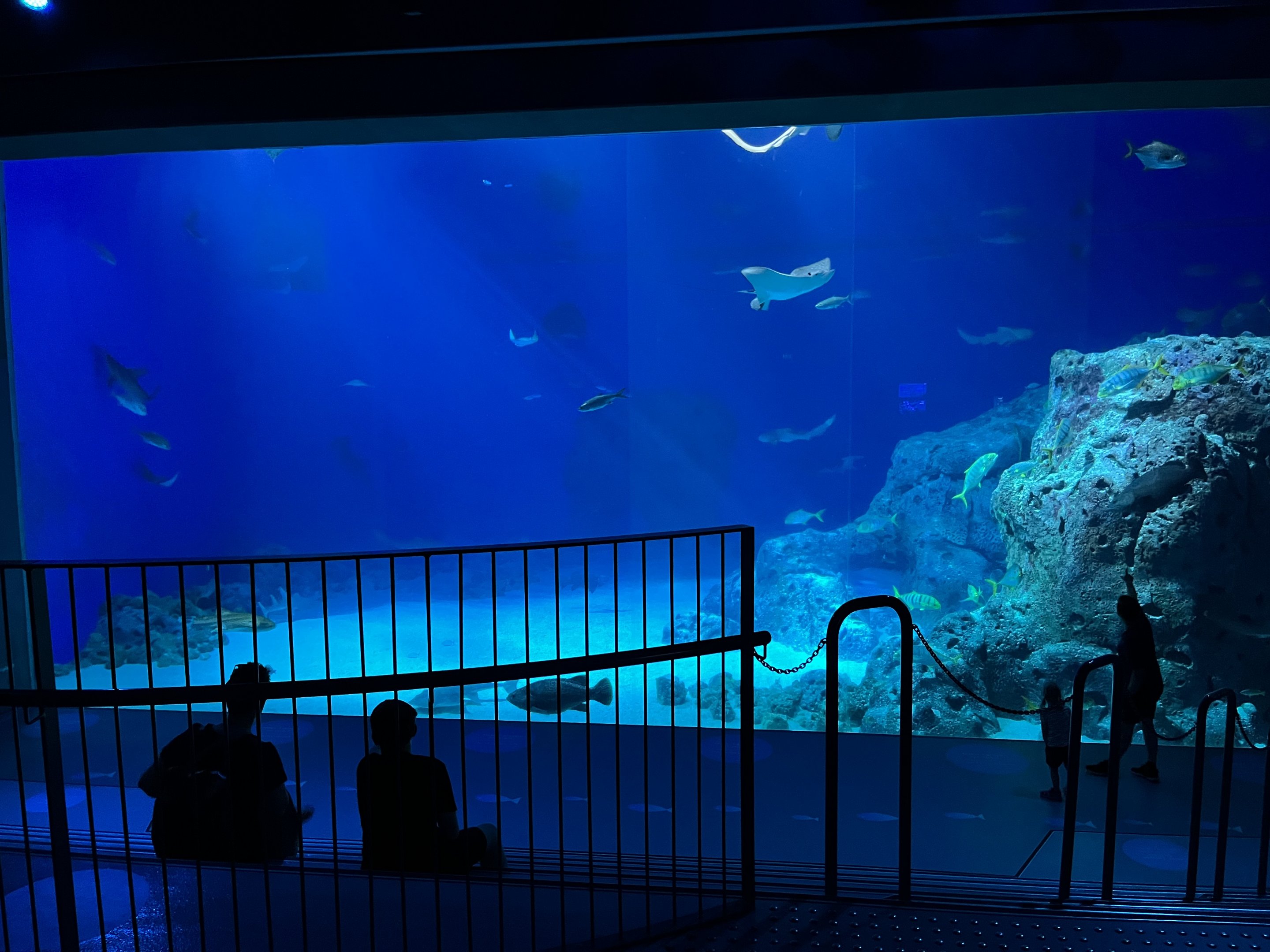 Ocean Tank