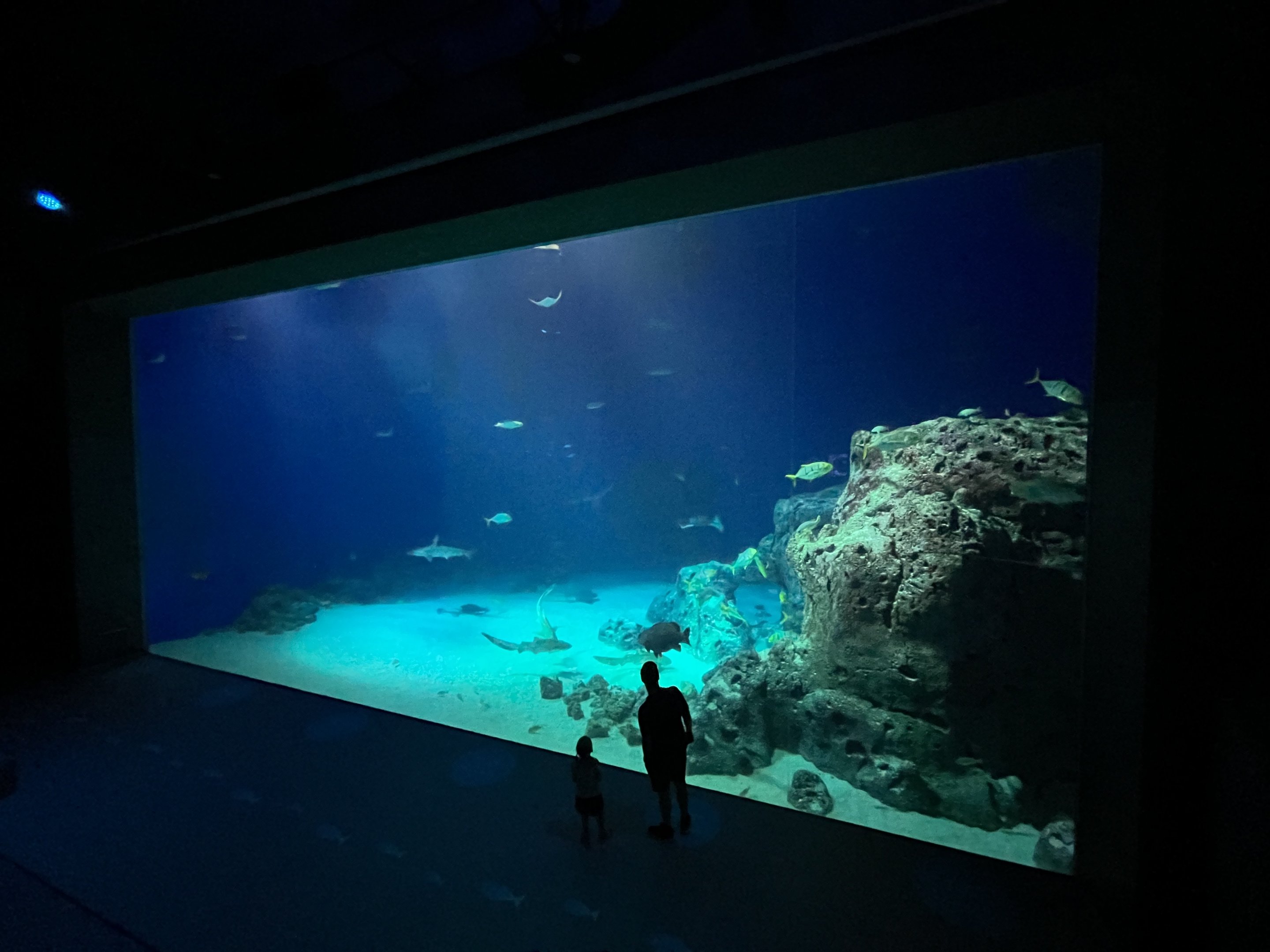 Ocean Tank