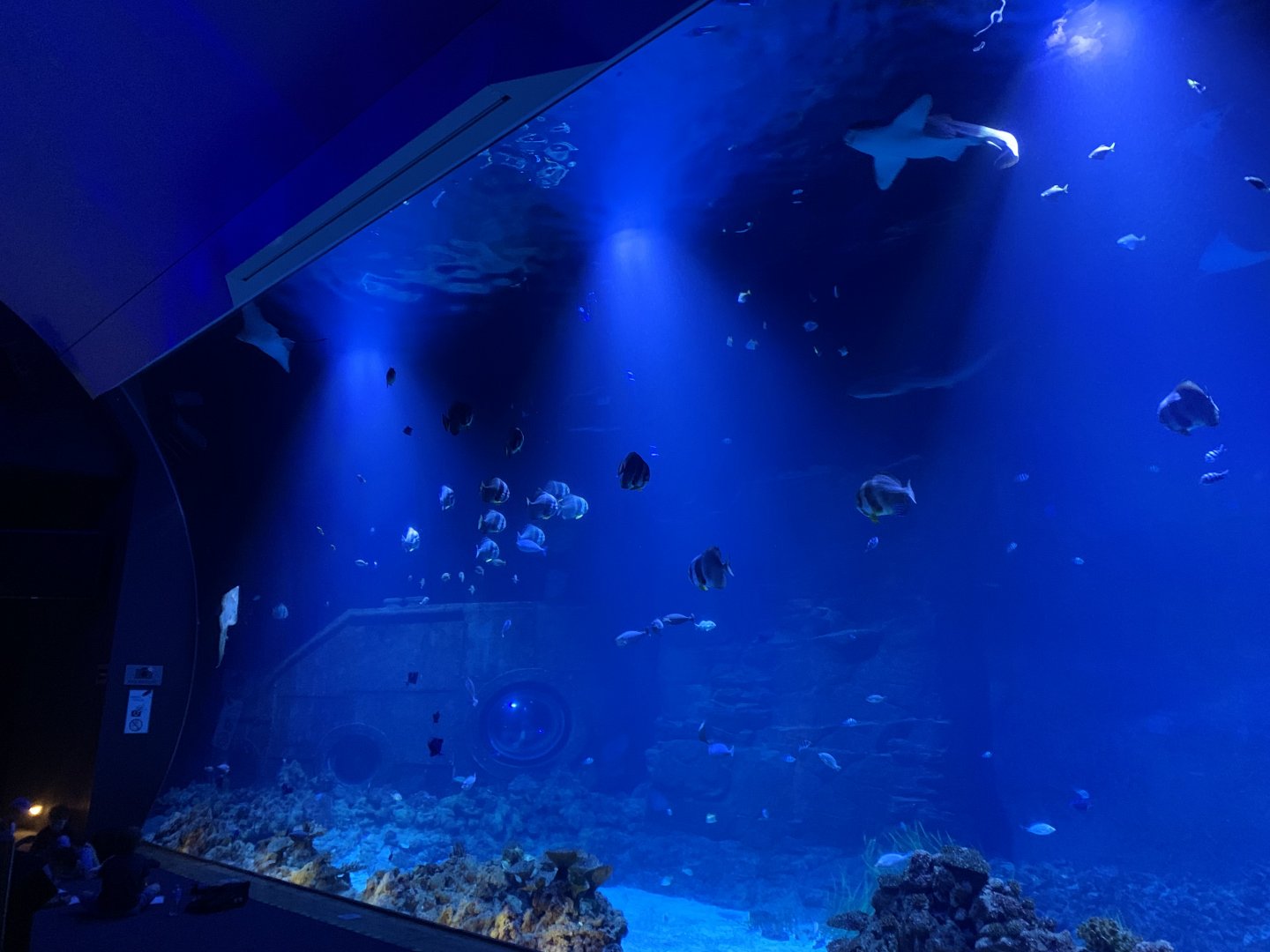 Ocean tank