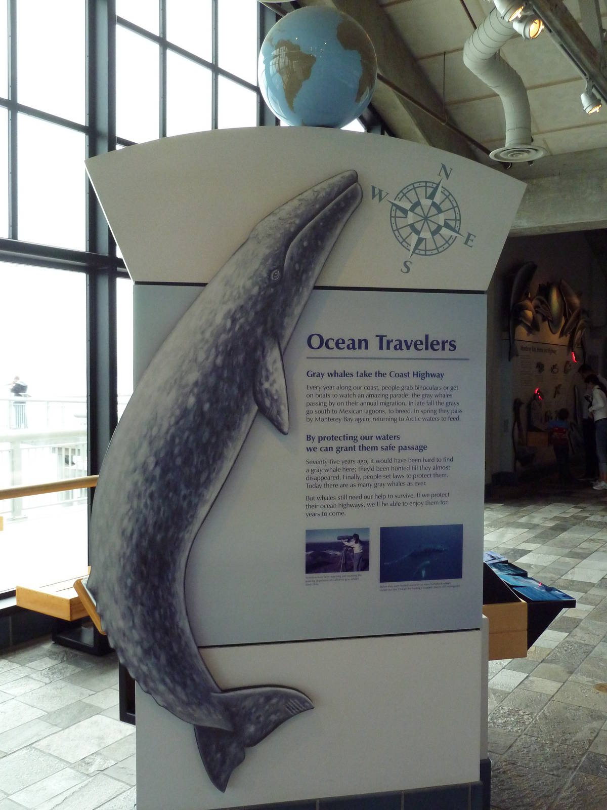 Ocean Travelers Exhibit