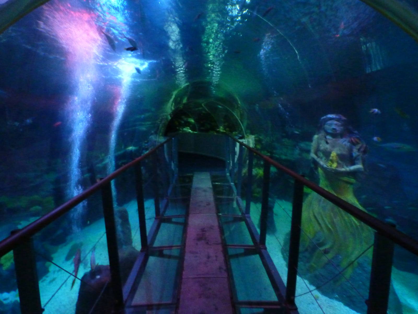 Ocean tunnel - 12th July 2012.