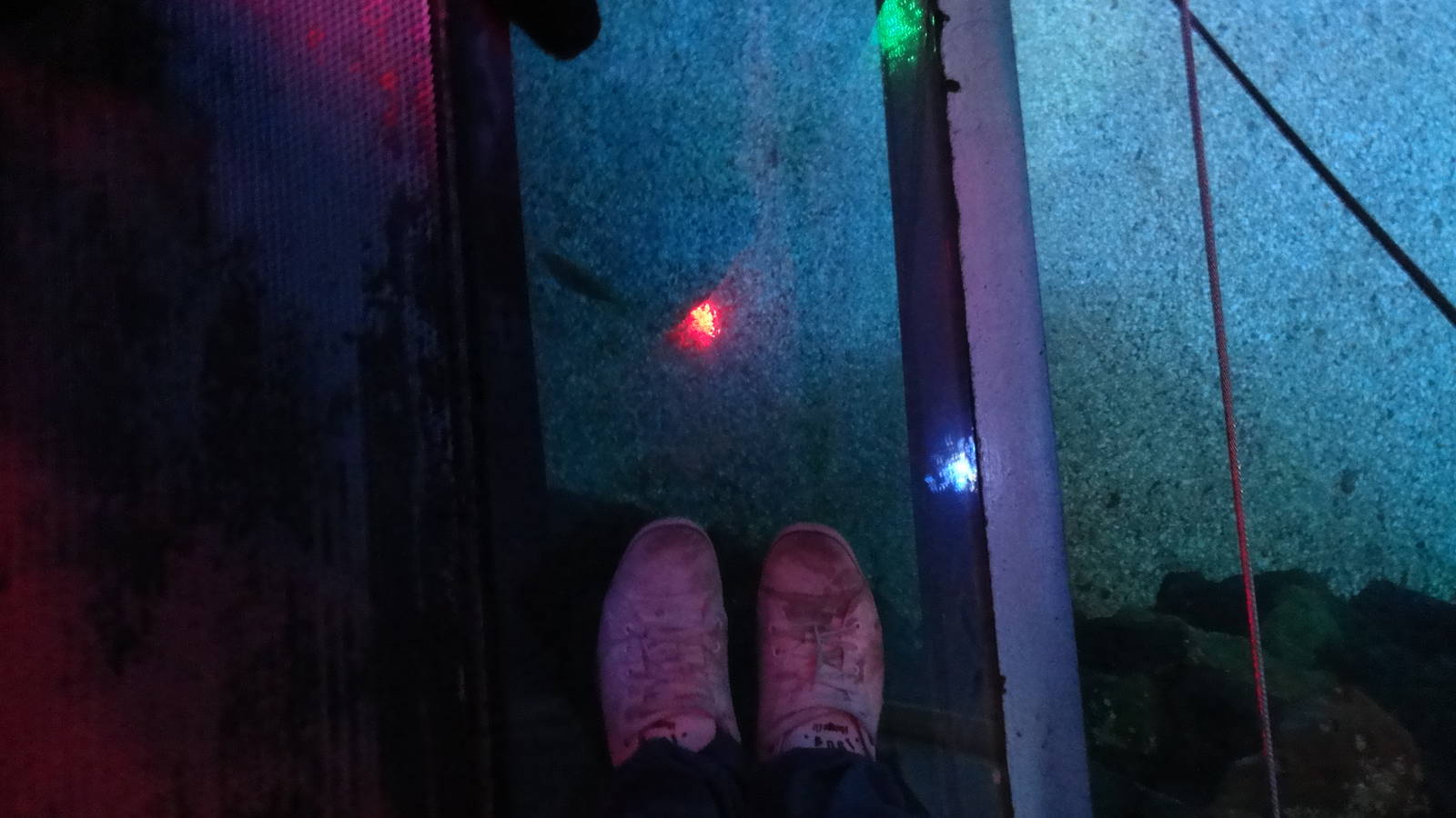 Ocean Tunnel (30/12/2011)