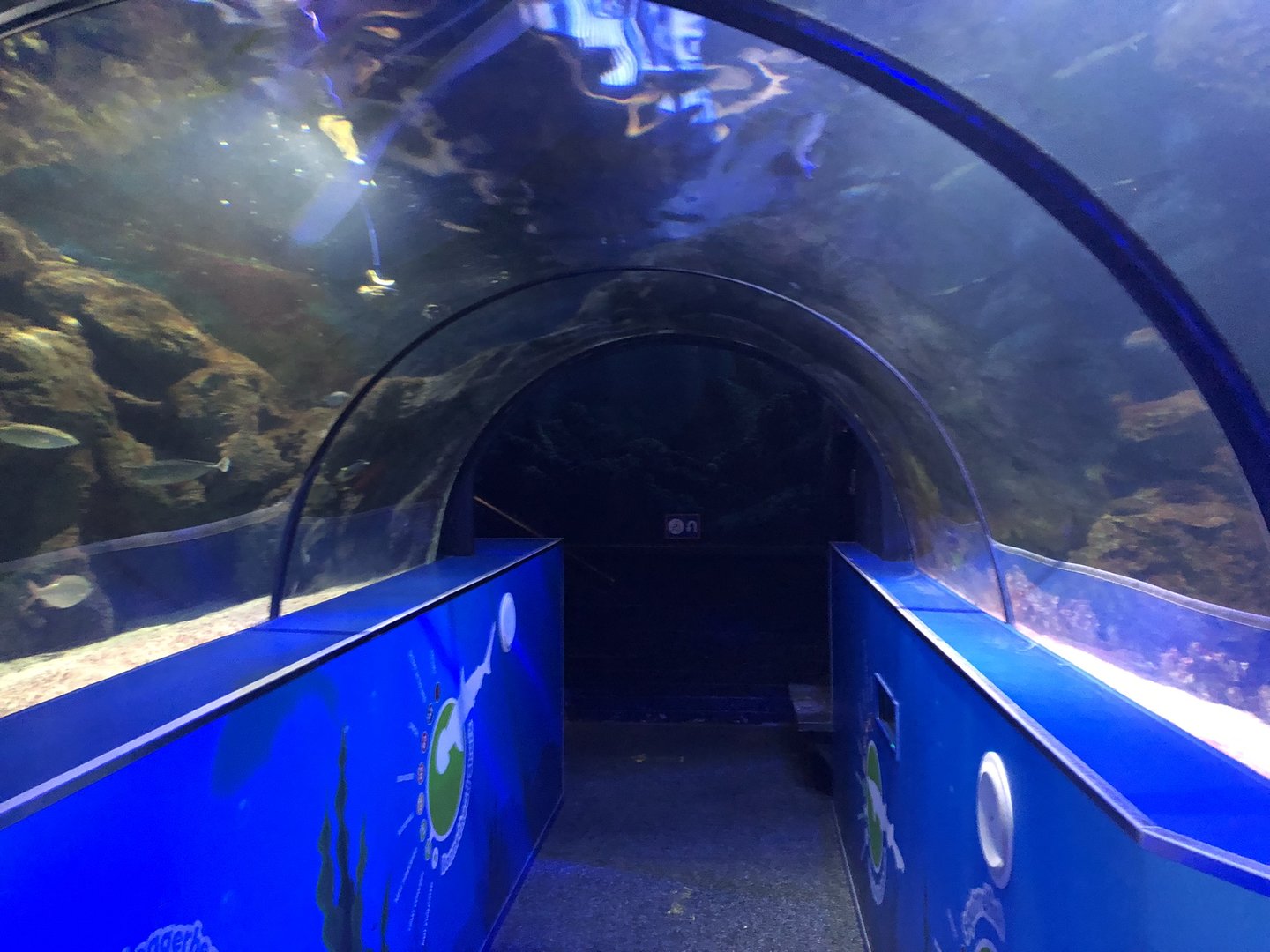 Ocean Tunnel at SEA LIFE Scarborough (September 2022)