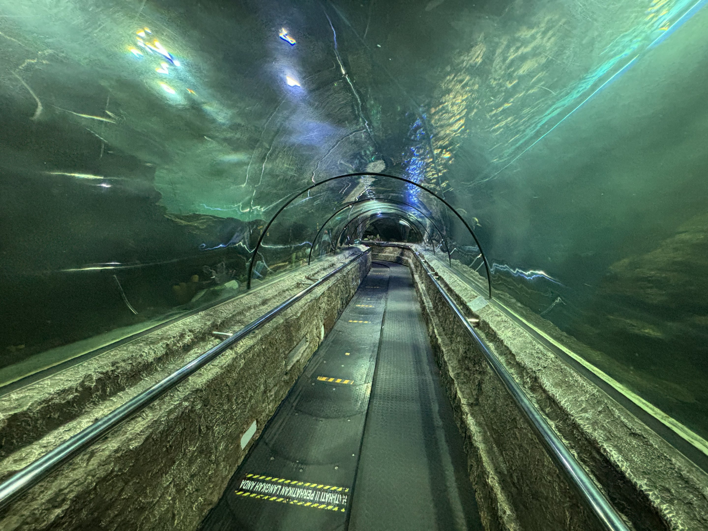 Ocean Tunnel Exhibit