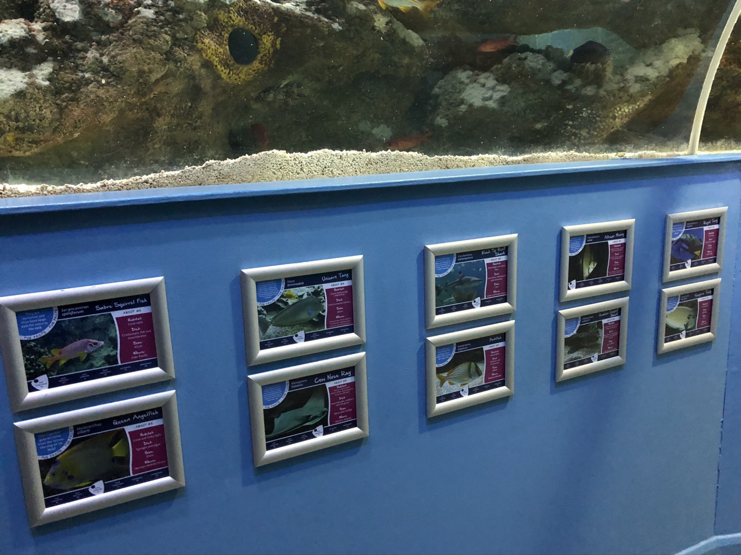 Ocean Tunnel Signage at Tynemouth Aquarium (2019)