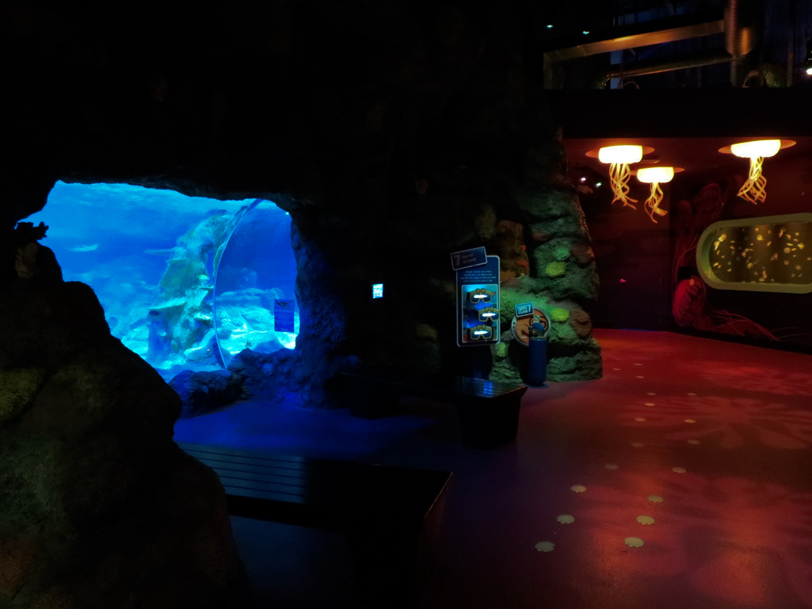 Ocean Tunnel/Tropical Ocean Exhibit