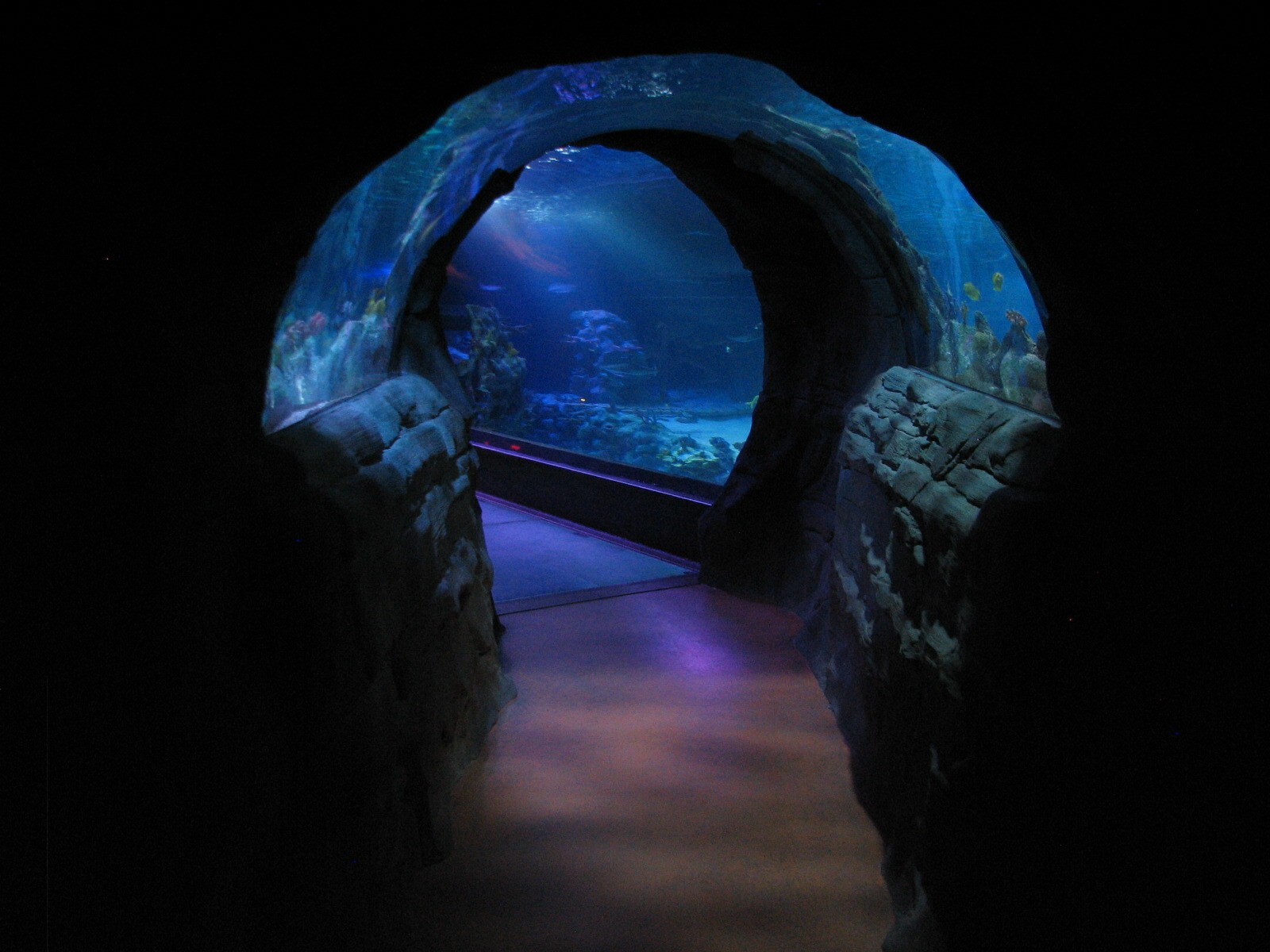 Ocean Tunnel
