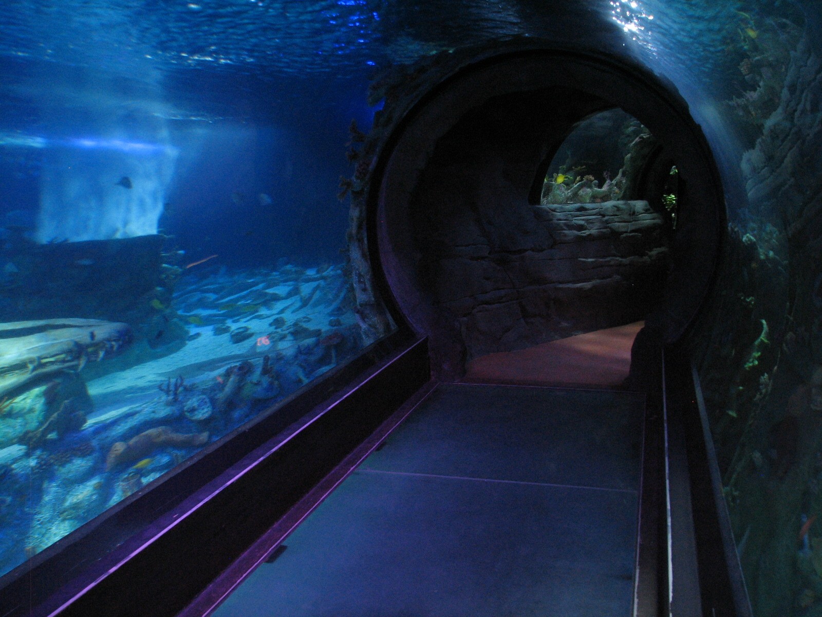 Ocean Tunnel