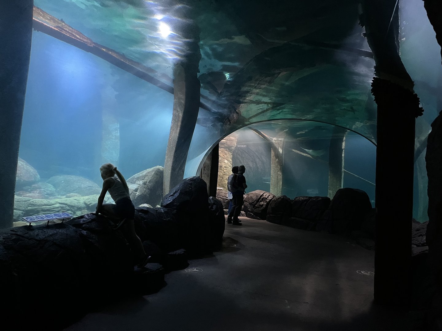 Ocean- Underwater tunnel 6.7.23