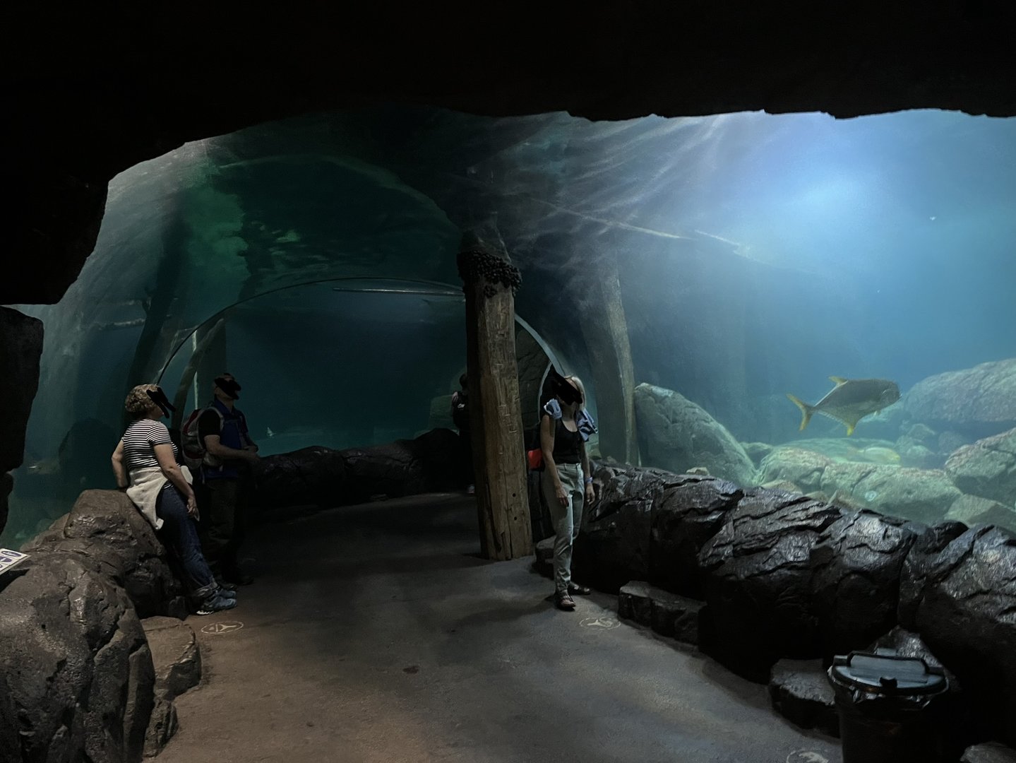 Ocean- Underwater tunnel 6.7.23