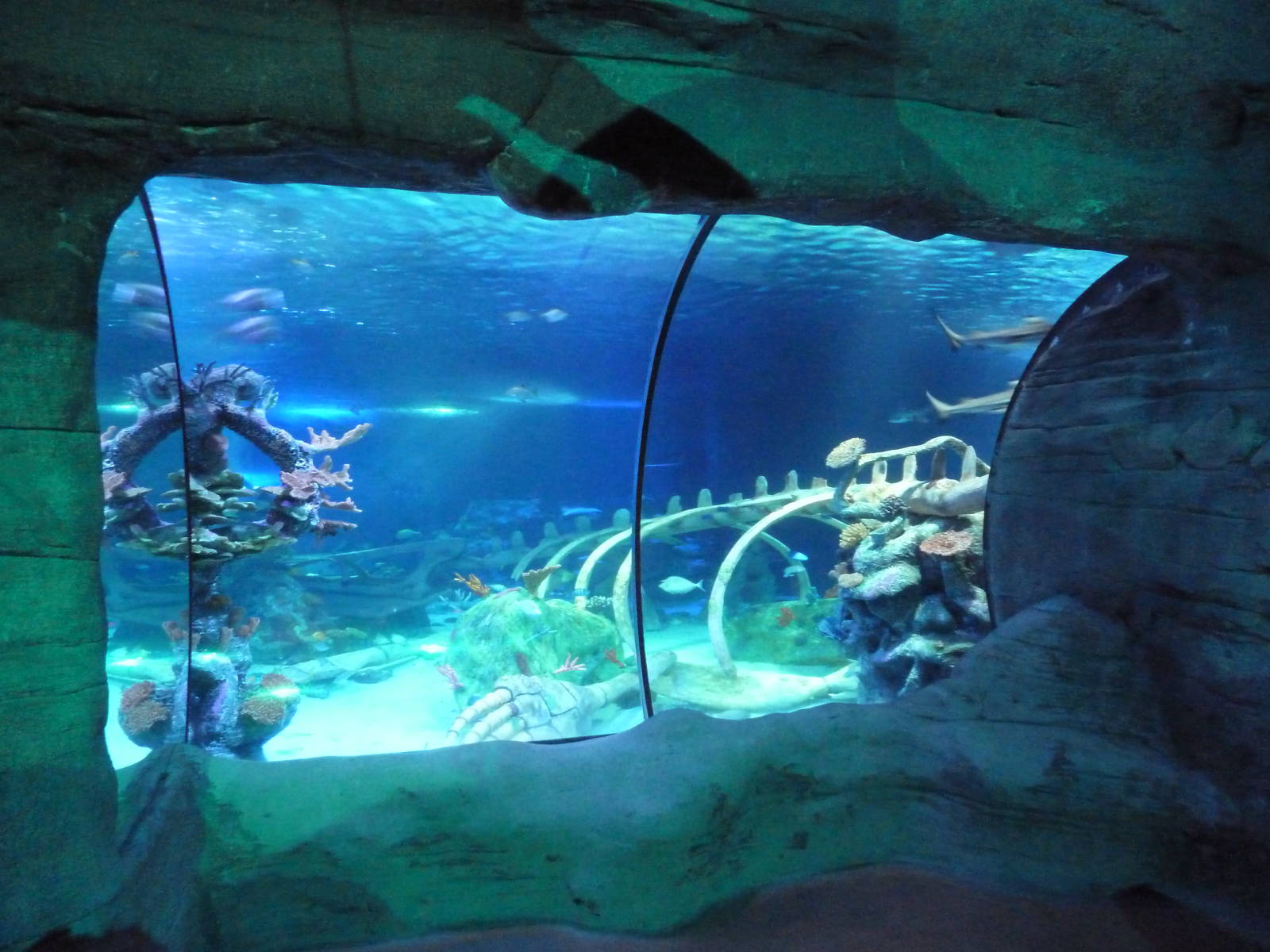 Ocean View Exhibit