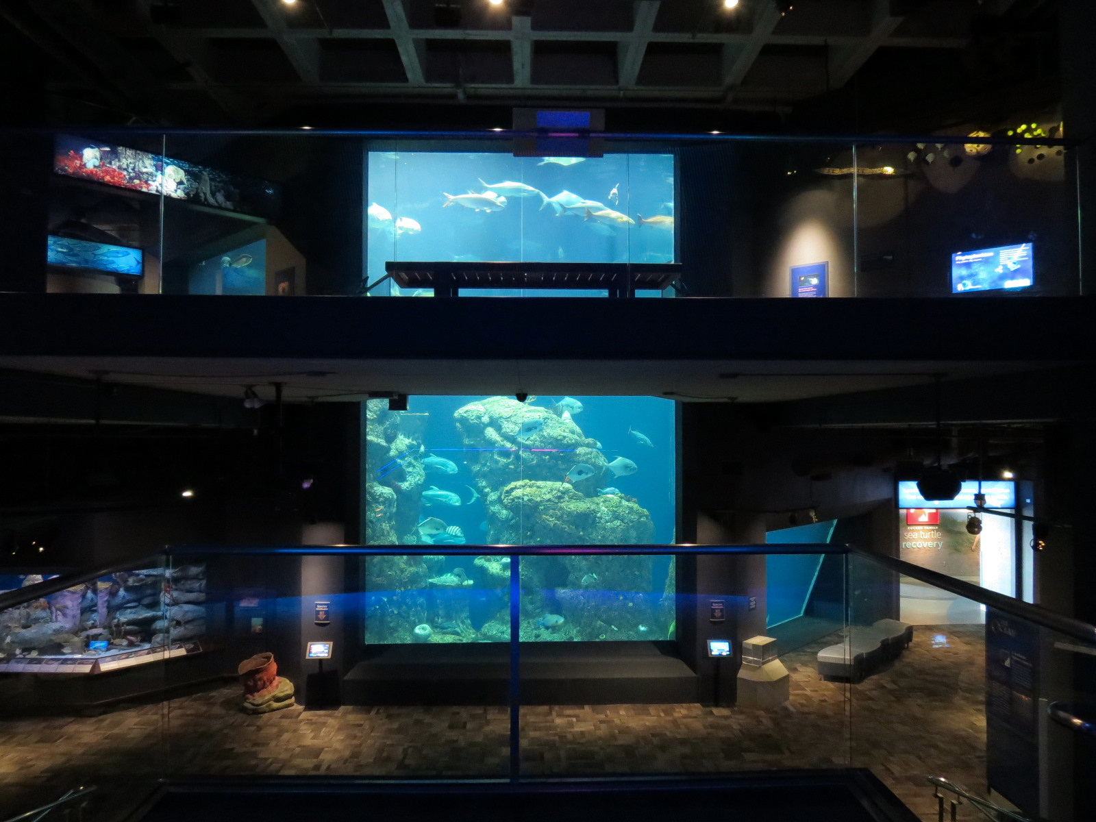 Ocean - View from Stairway from Upper Floor to Lower Floor