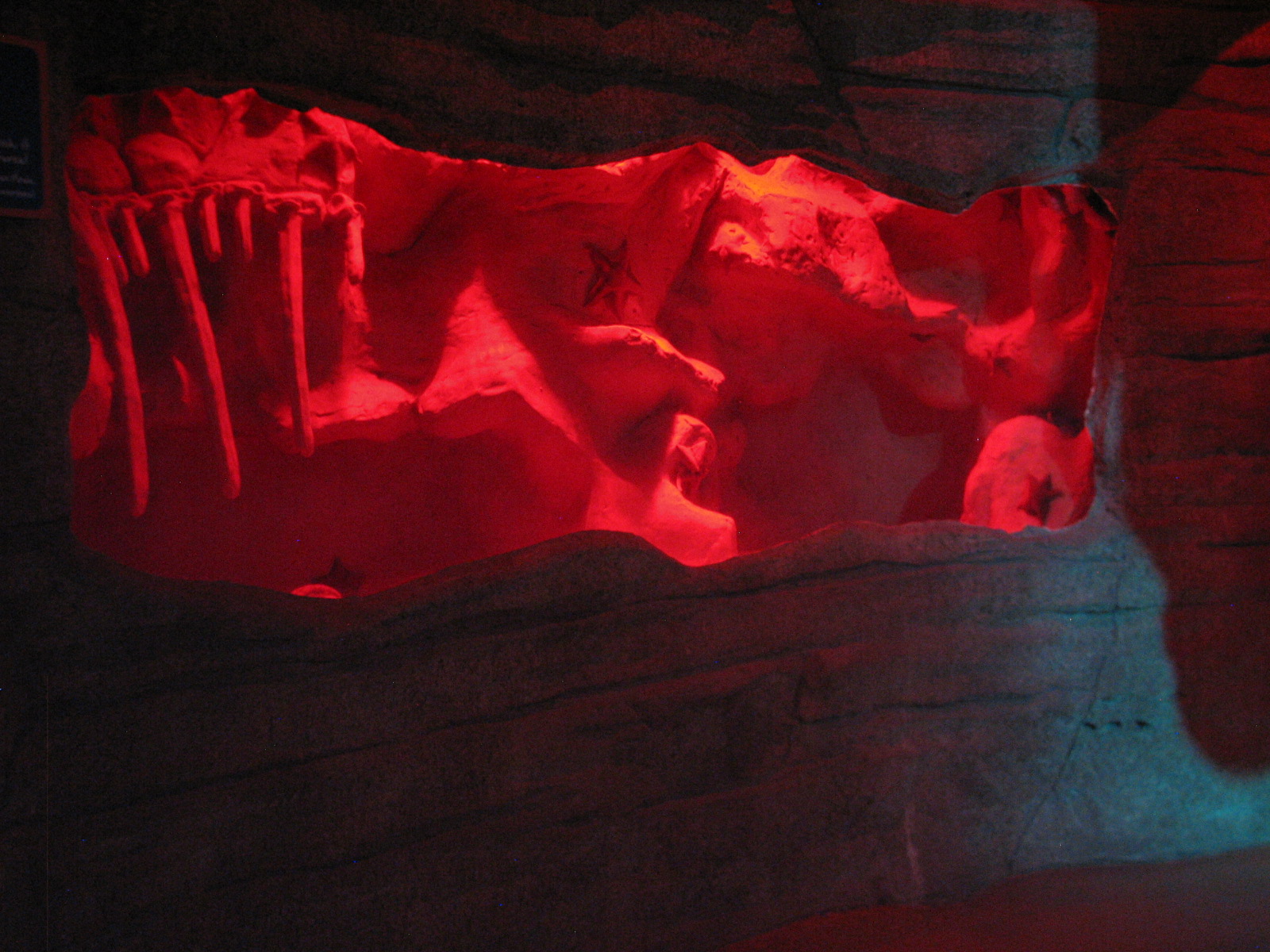 Ocean View - Giant Pacific Octopus Exhibit