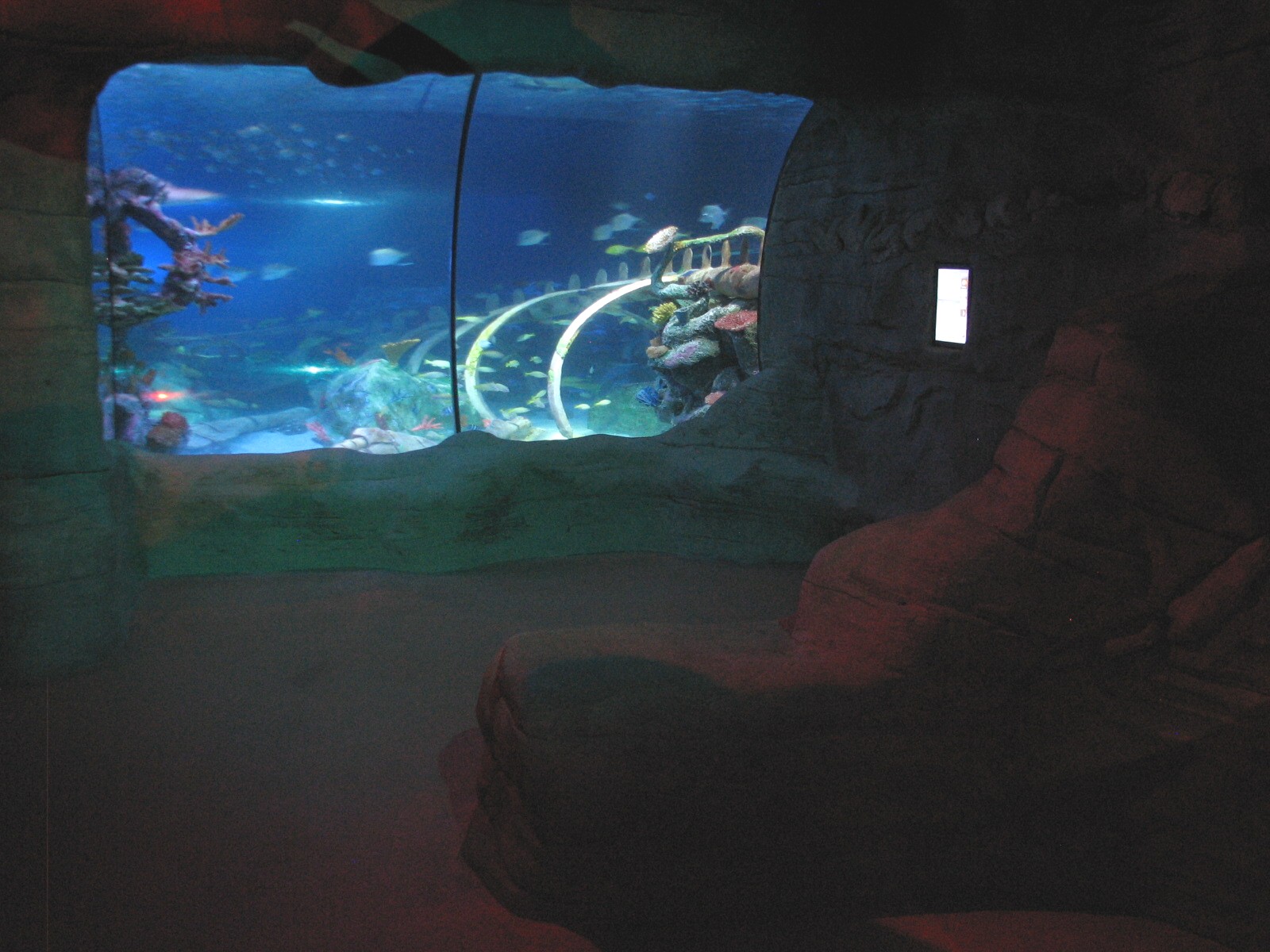 Ocean View - Viewing Area