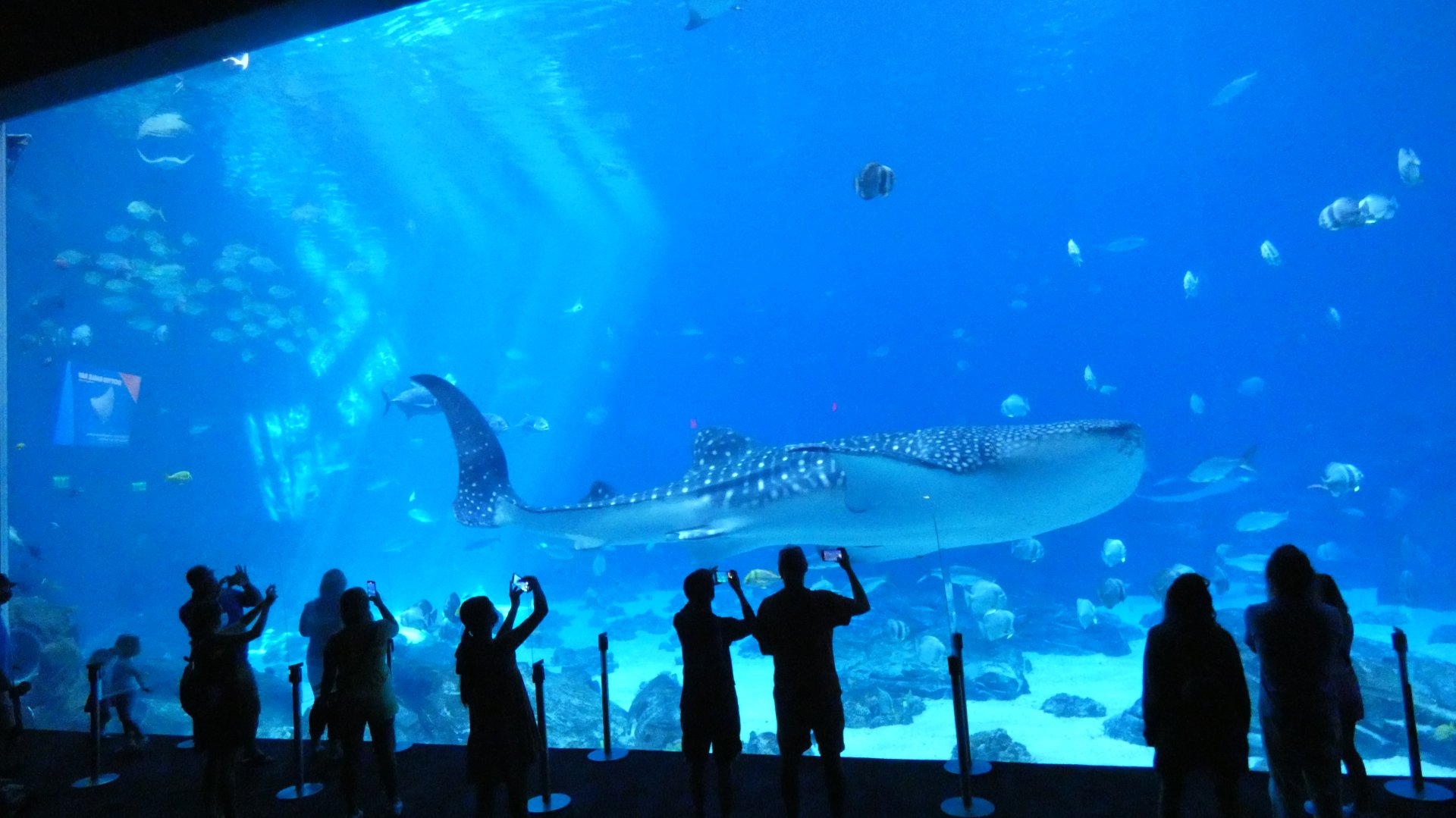 Ocean Voyager - Aug. 2021