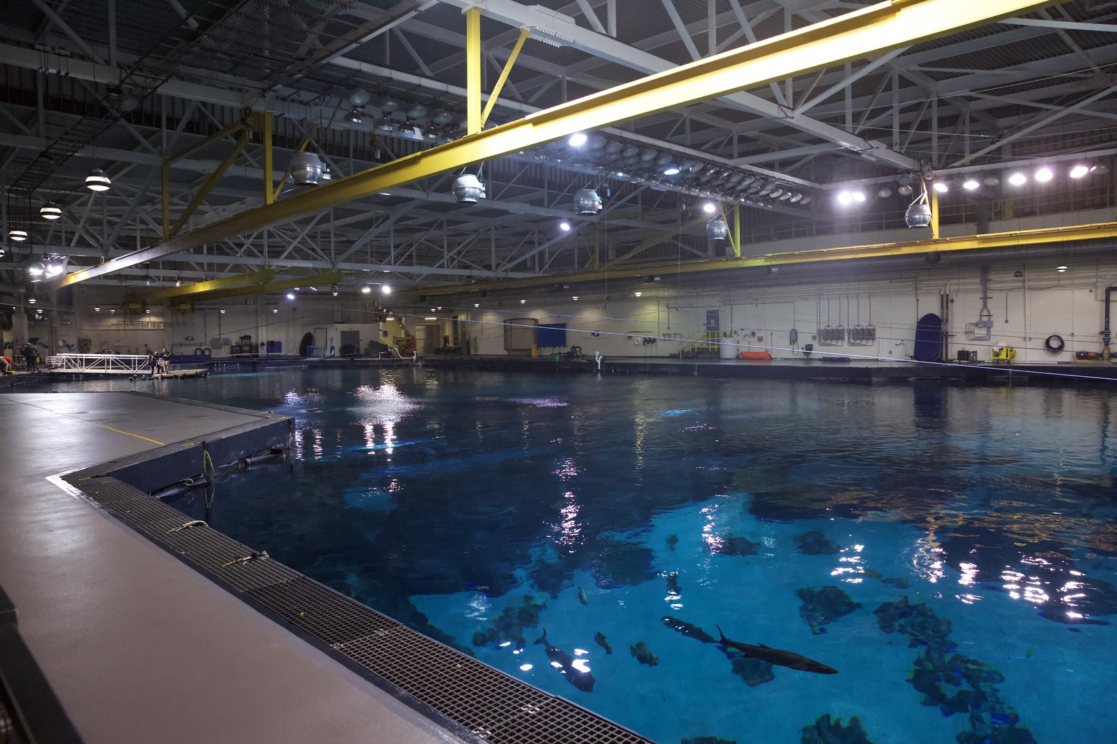 Ocean Voyager Behind Sea Tour View