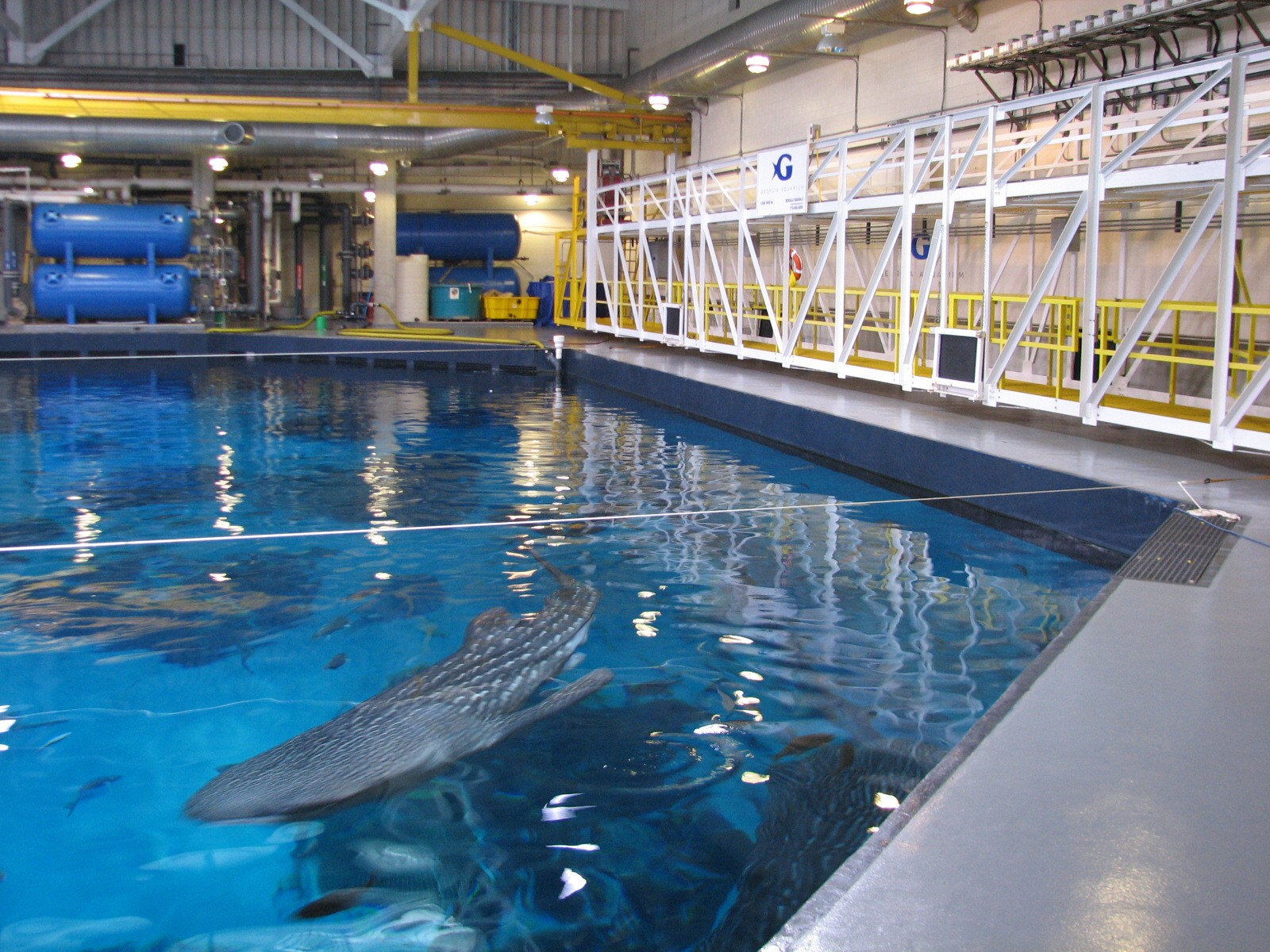 Ocean Voyager - Behind the Scenes Top View