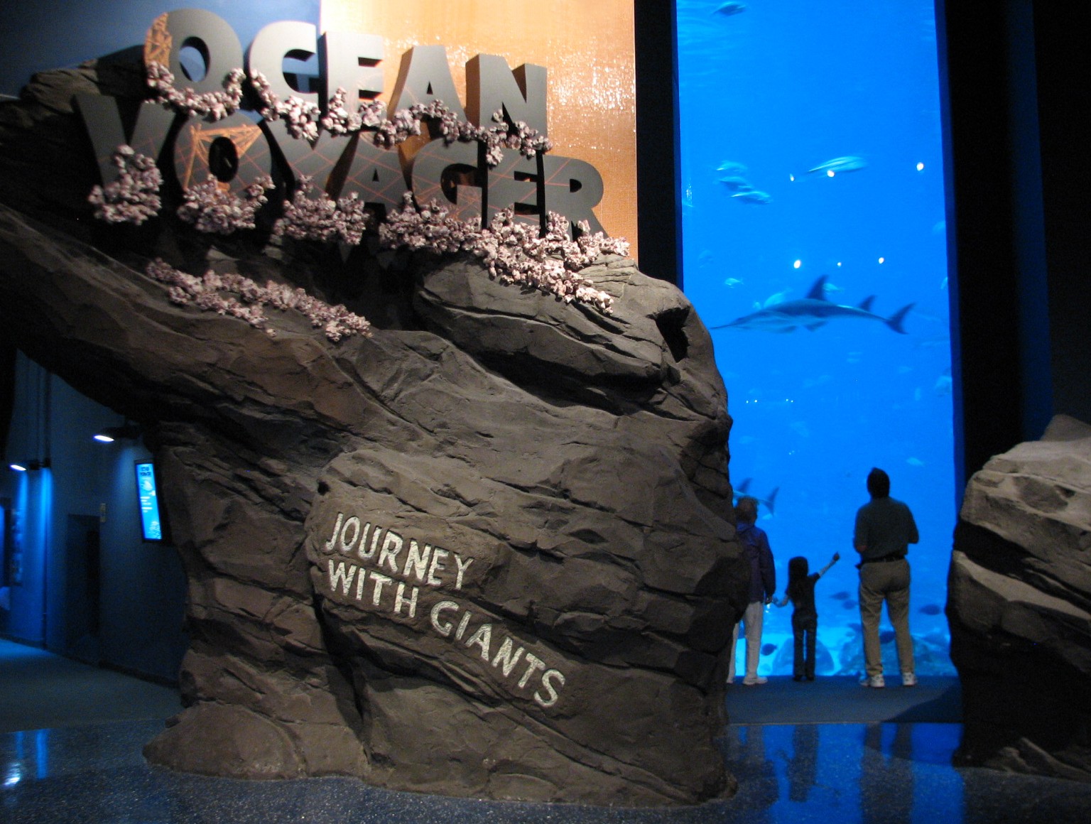 Ocean Voyager - Entry