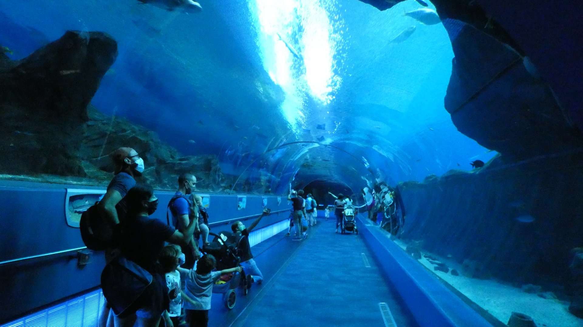 Ocean Voyager Tunnel - Aug. 2021