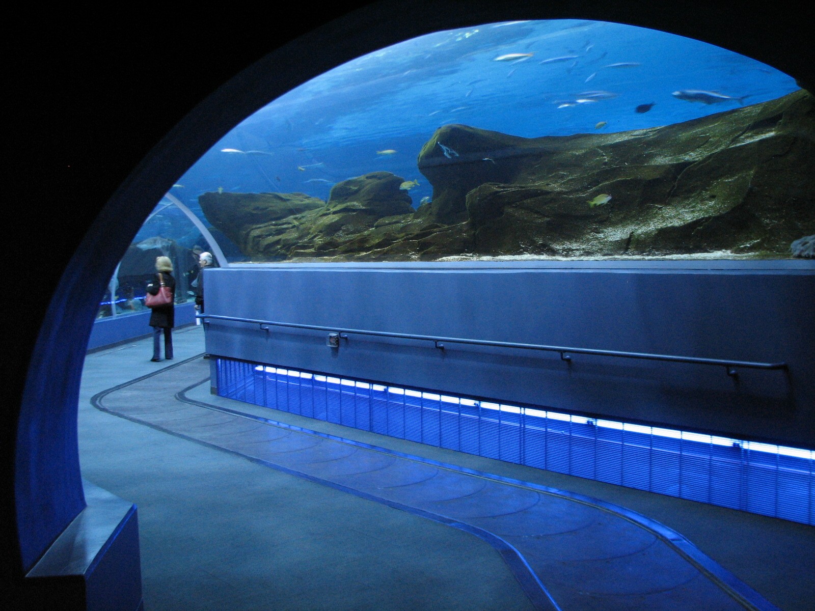 Ocean Voyager - Tunnel