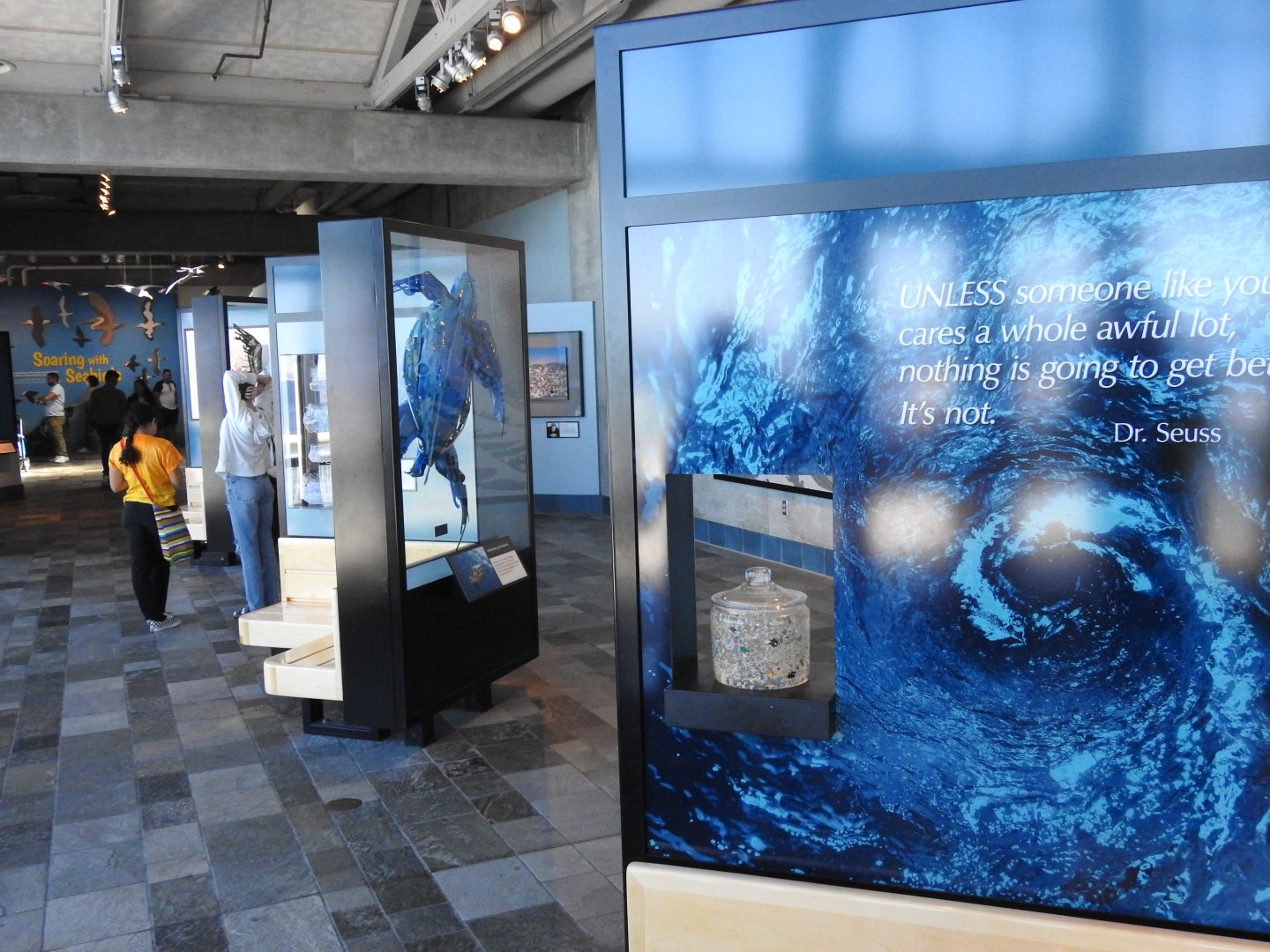 Ocean waste turned into art exhibit