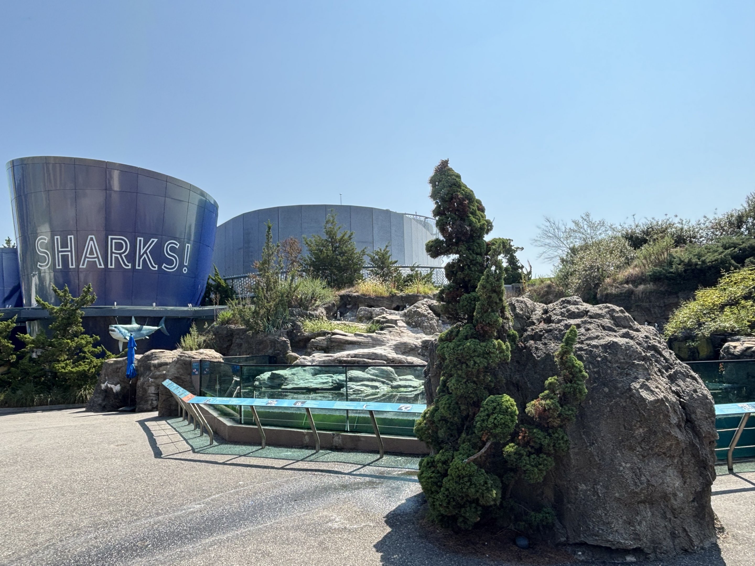 Ocean Wonders: Sharks! + African Penguin Exhibit