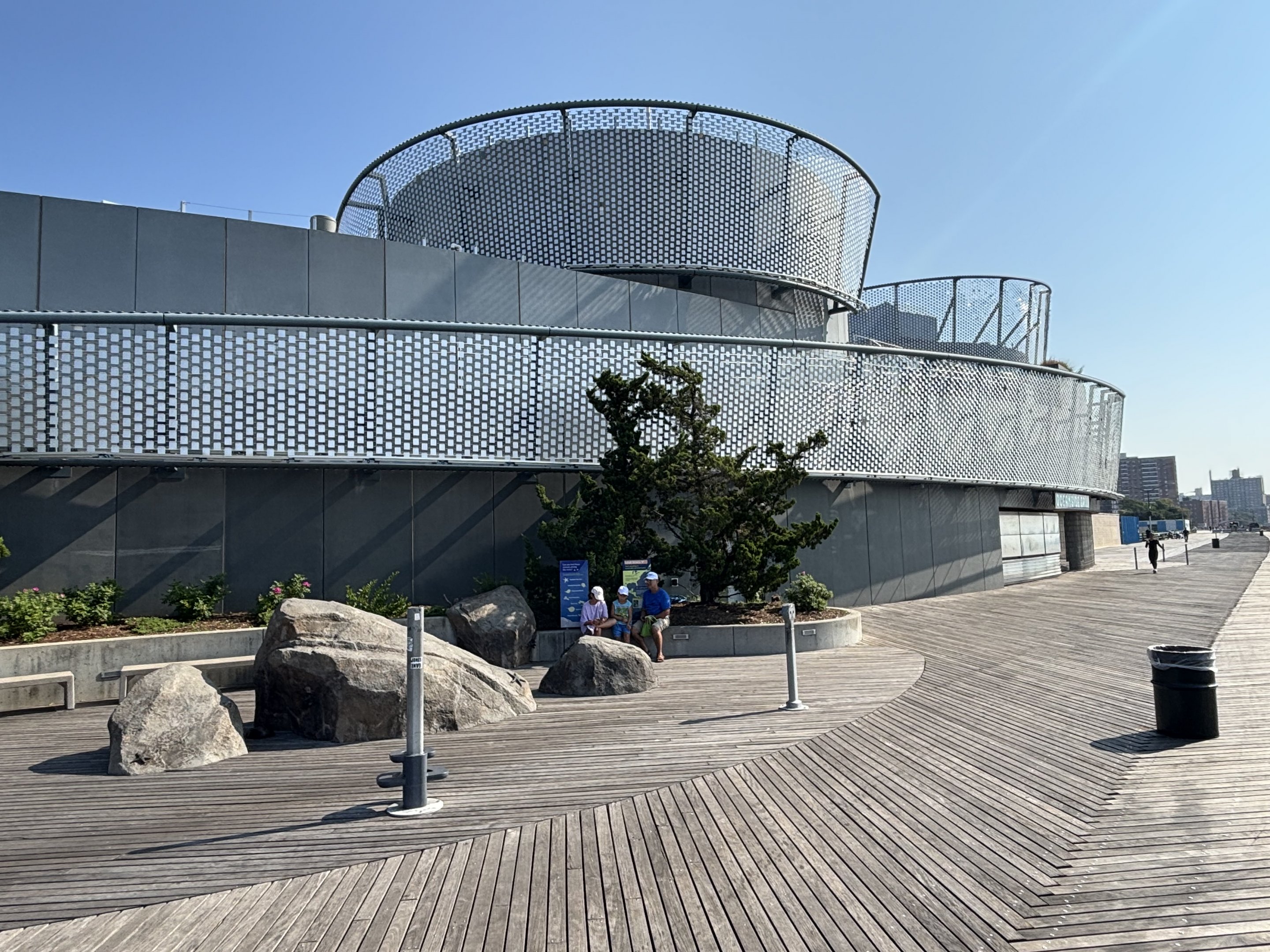 Ocean Wonders: Sharks!