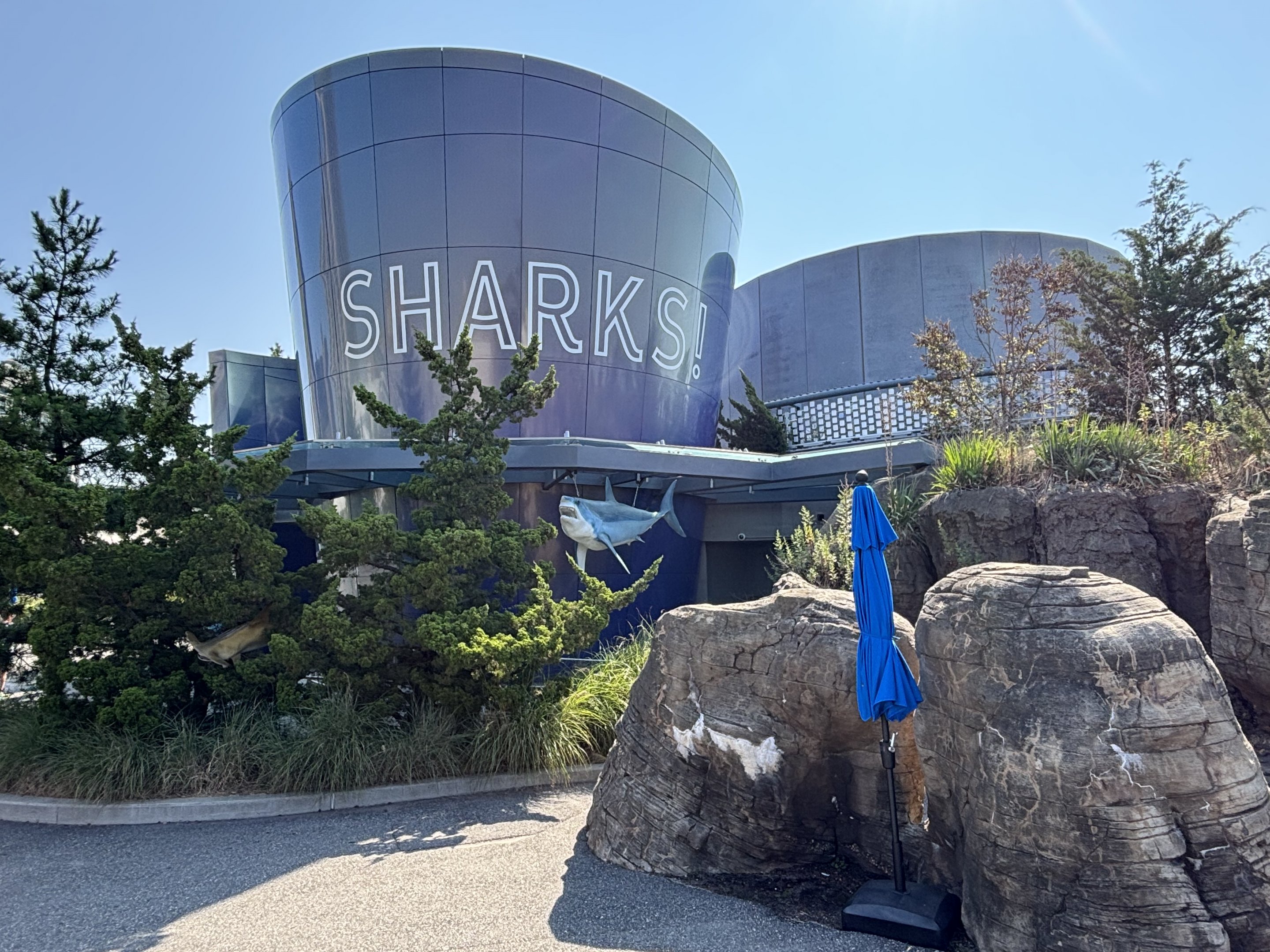 Ocean Wonders: Sharks!