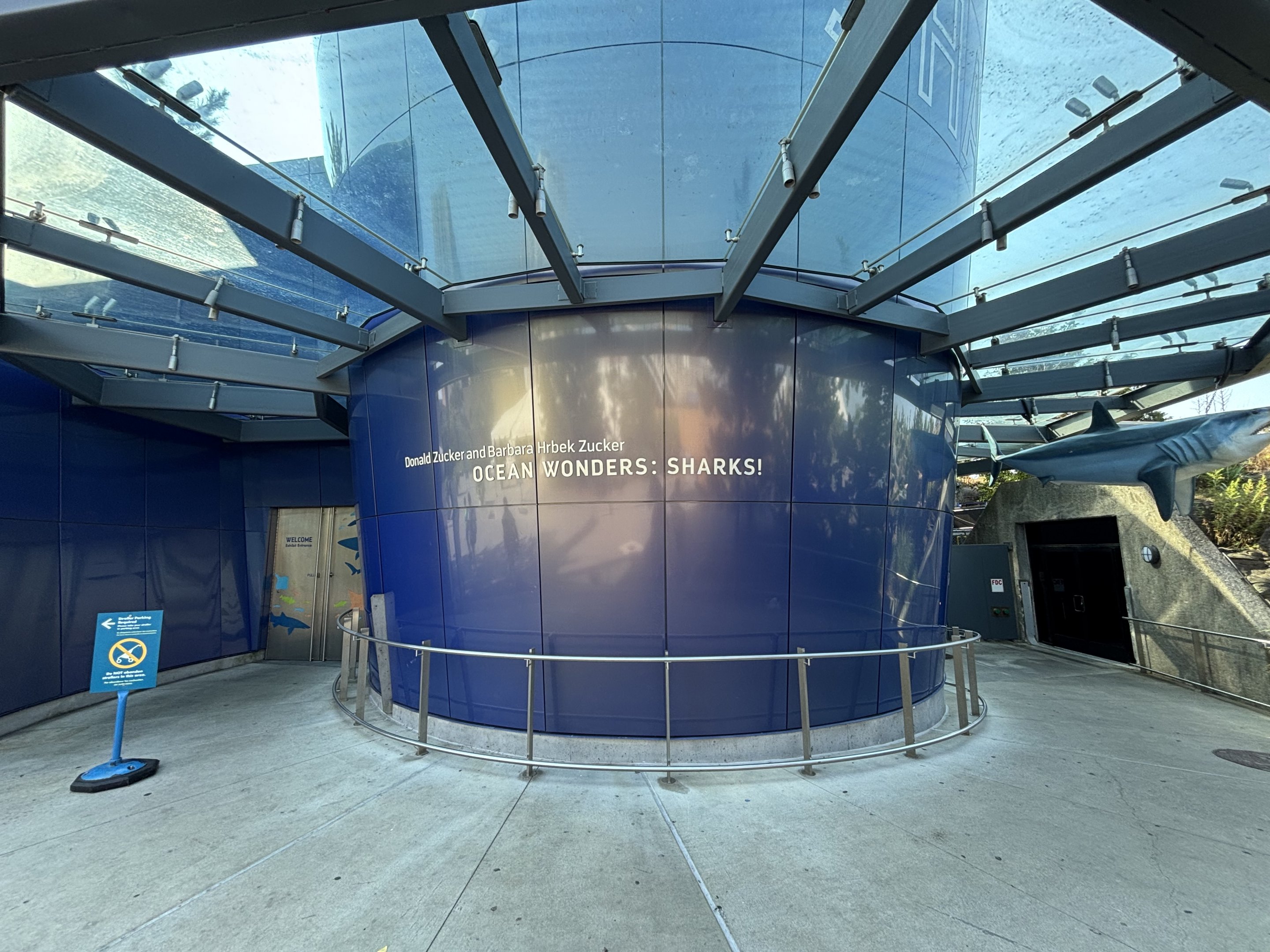 Ocean Wonders: Sharks!