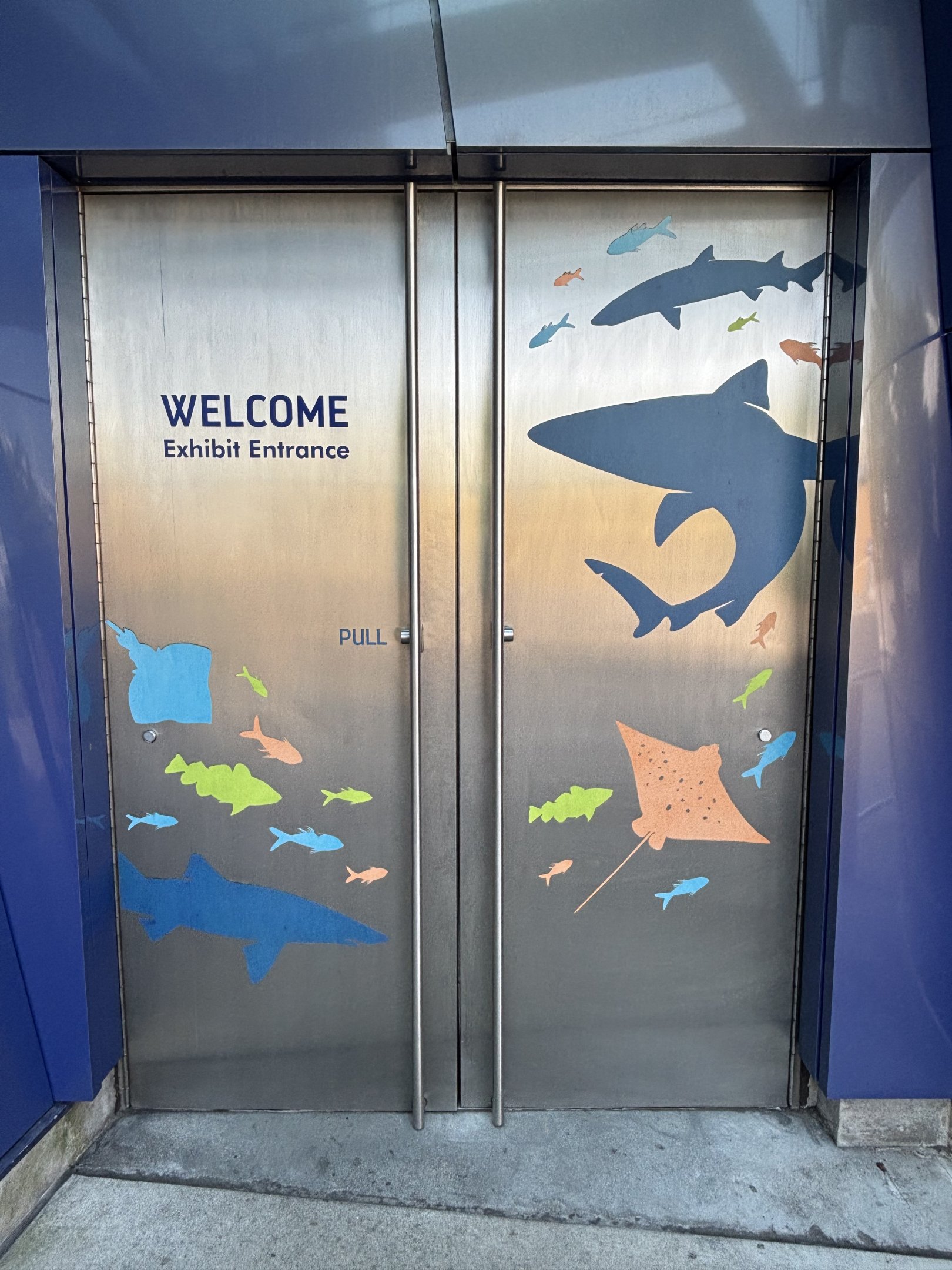 Ocean Wonders: Sharks!