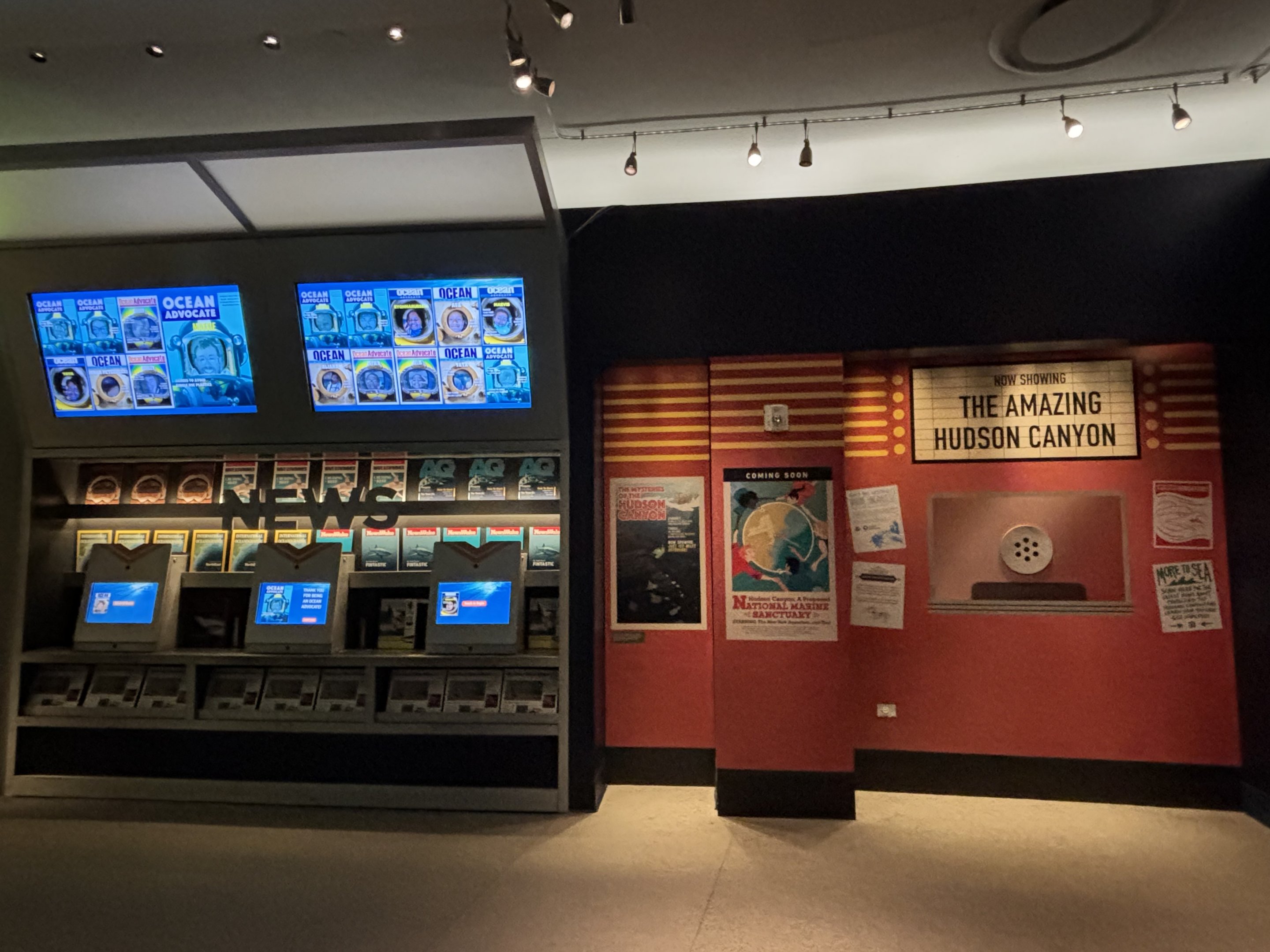 Ocean Wonders: Sharks!