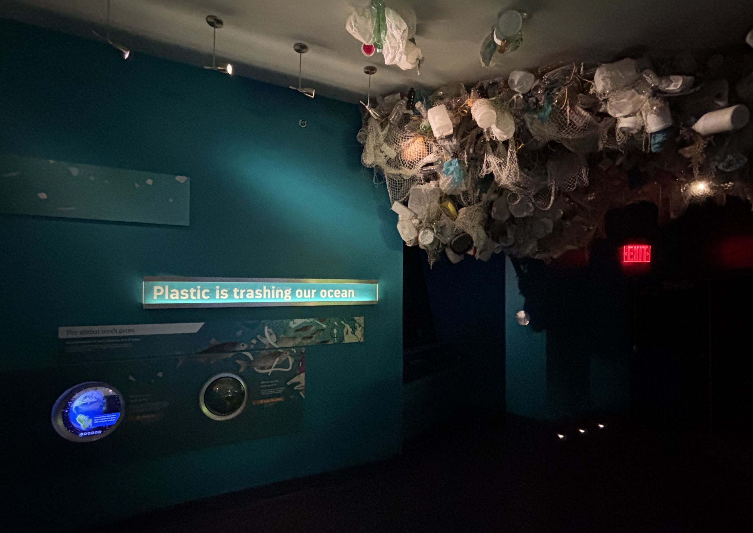 Ocean Wonders: Sharks!