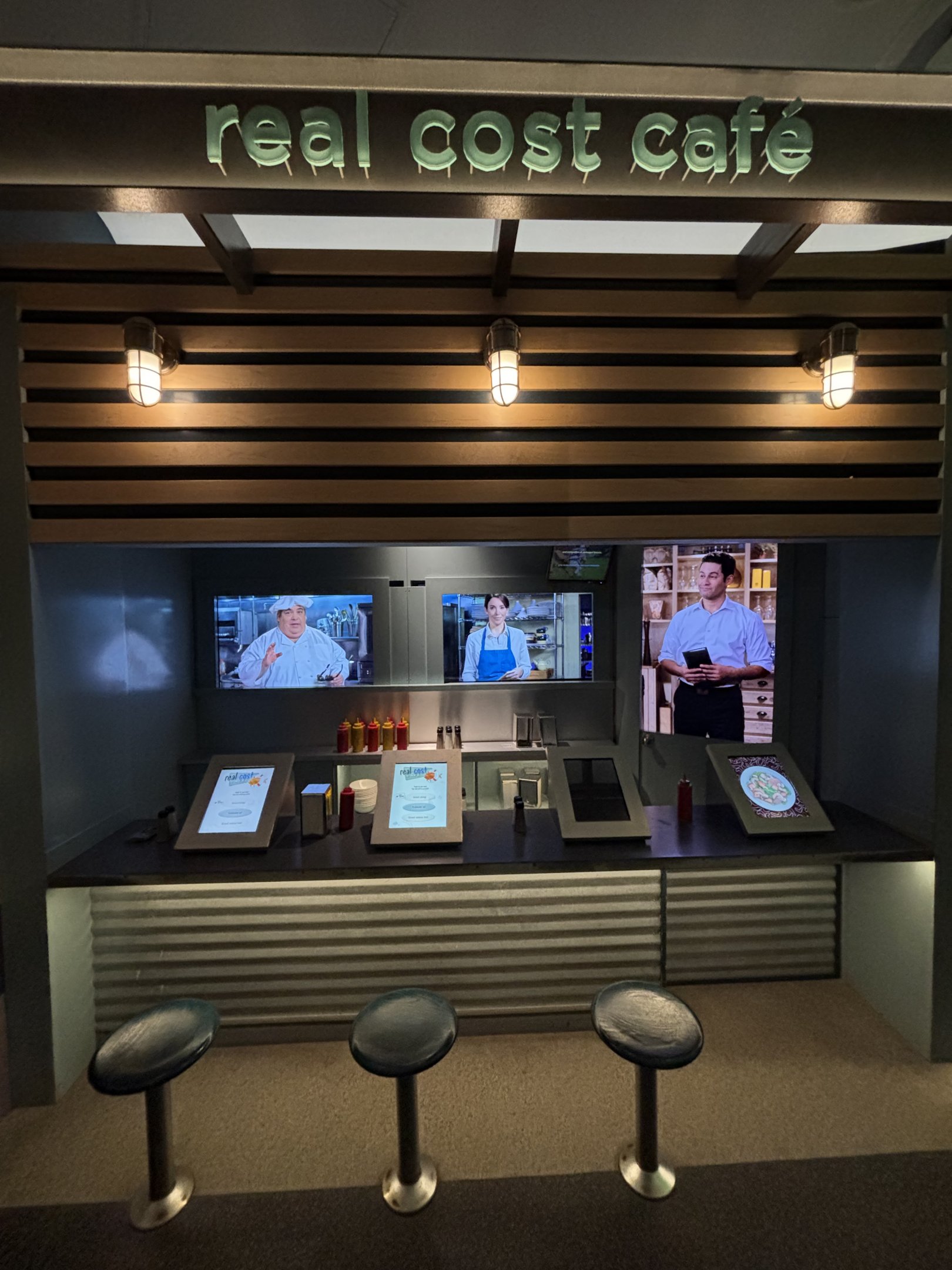 Ocean Wonders: Sharks!