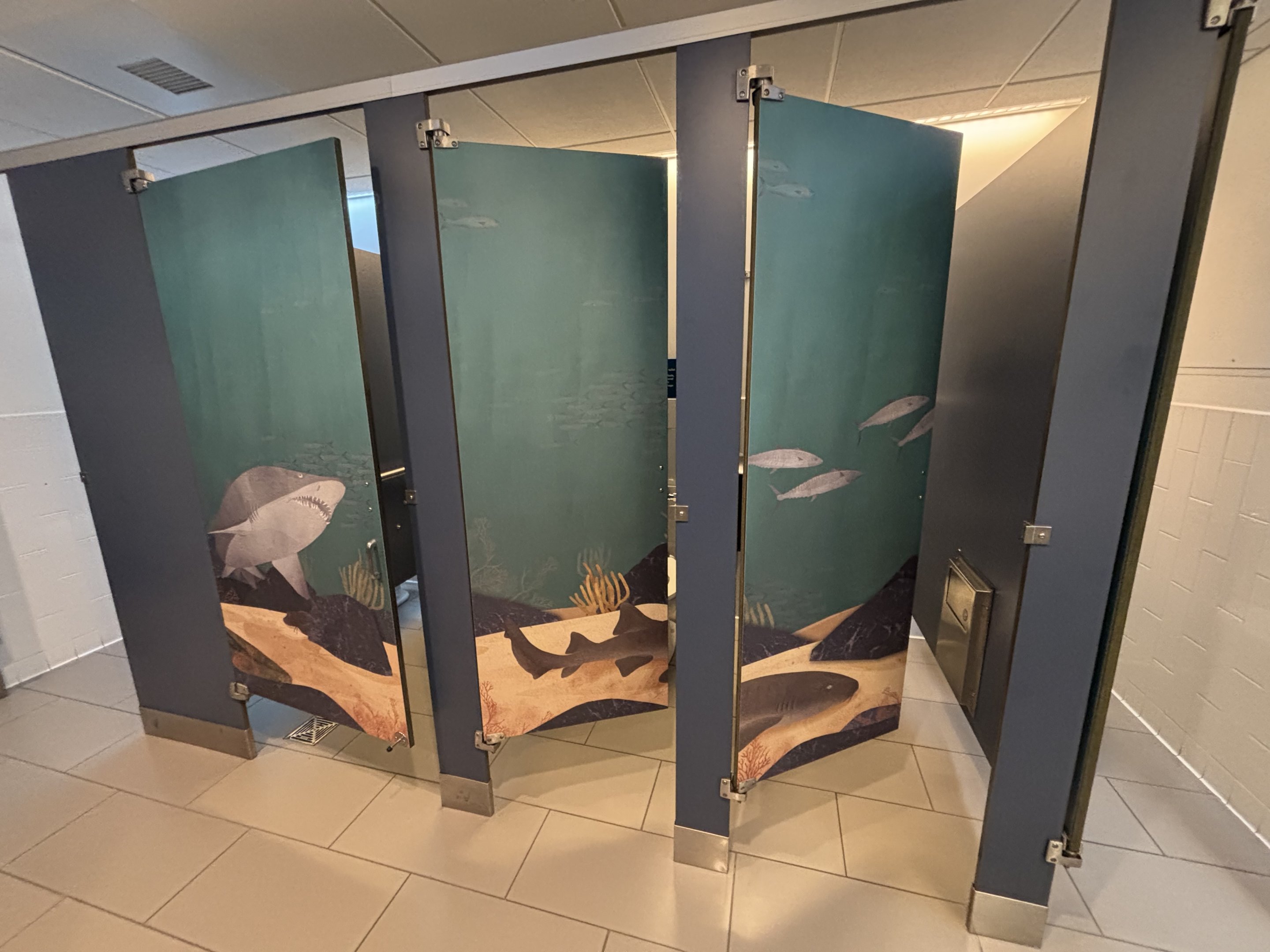 Ocean Wonders: Sharks!