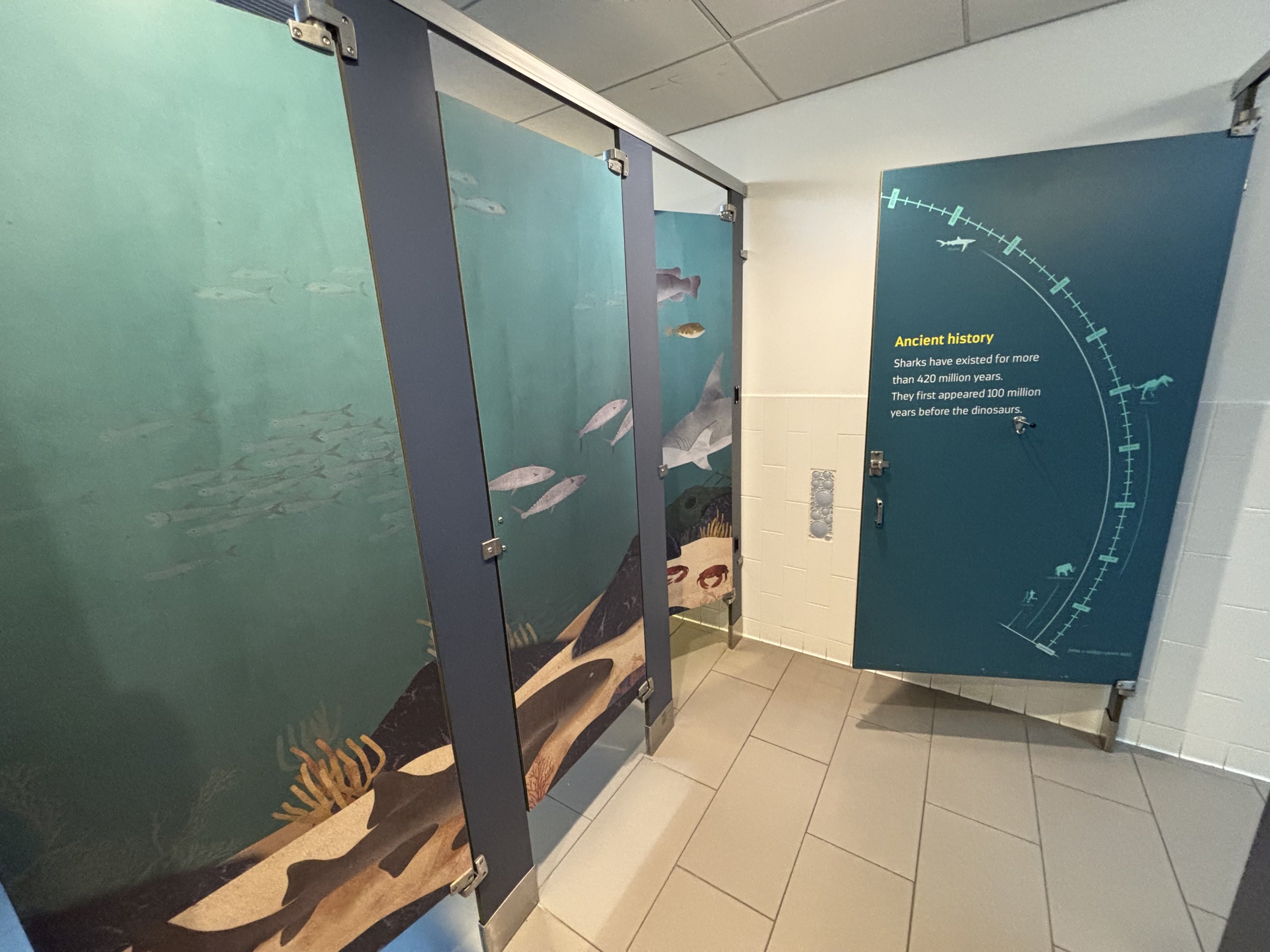 Ocean Wonders: Sharks!