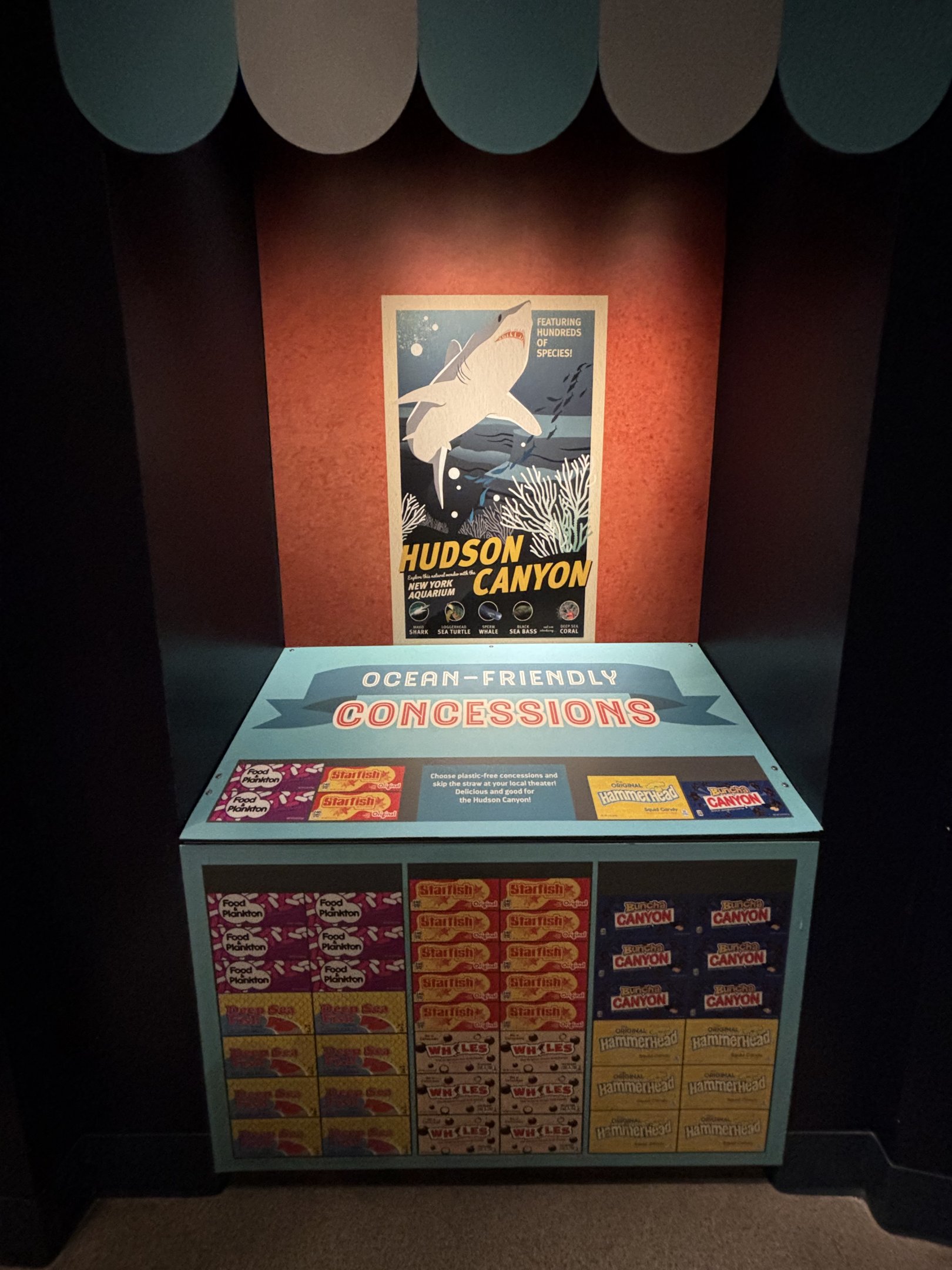 Ocean Wonders: Sharks!